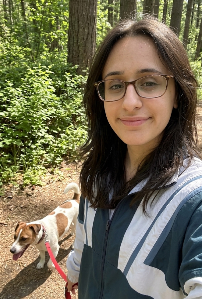 image-6