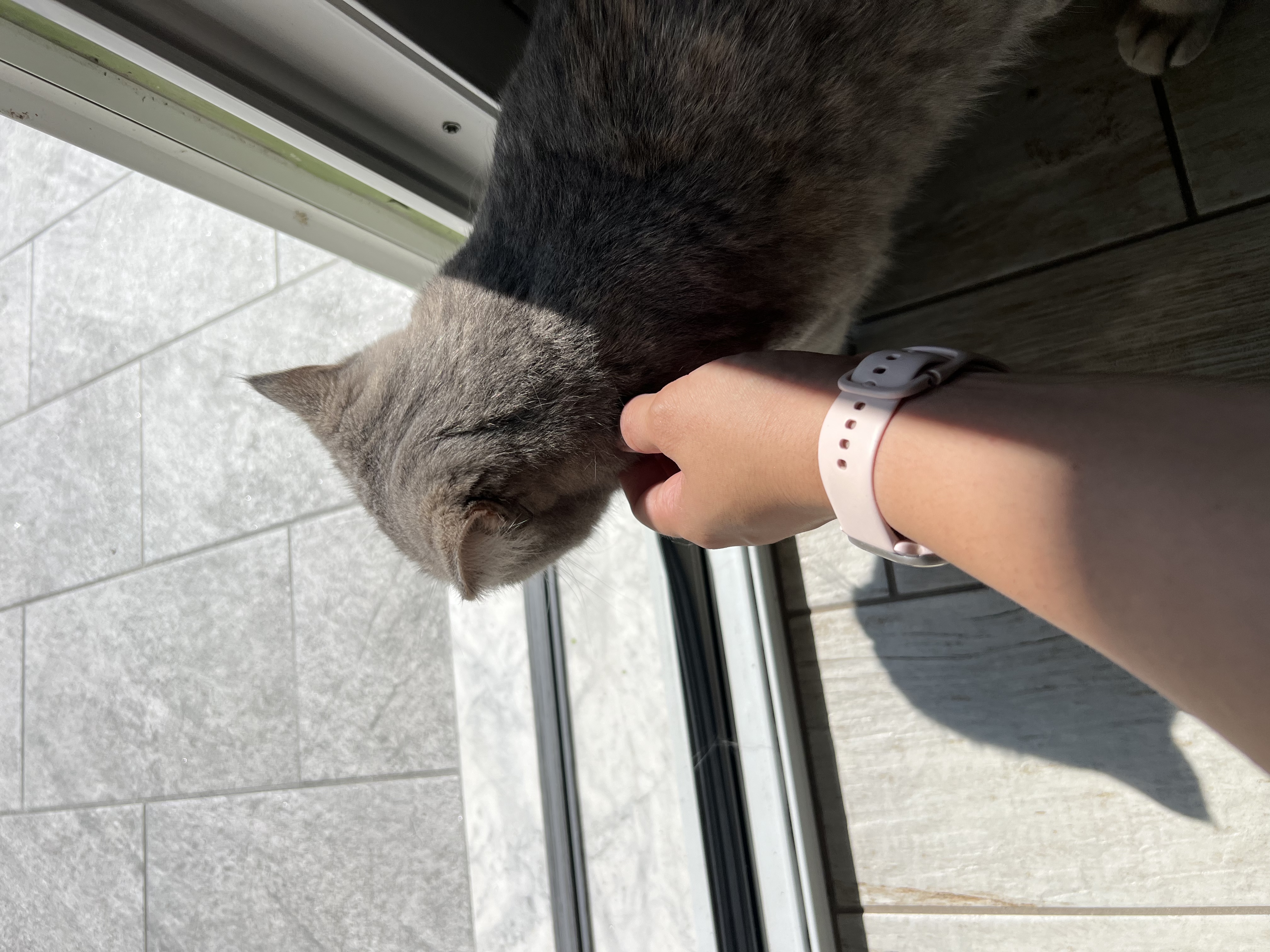 image-11