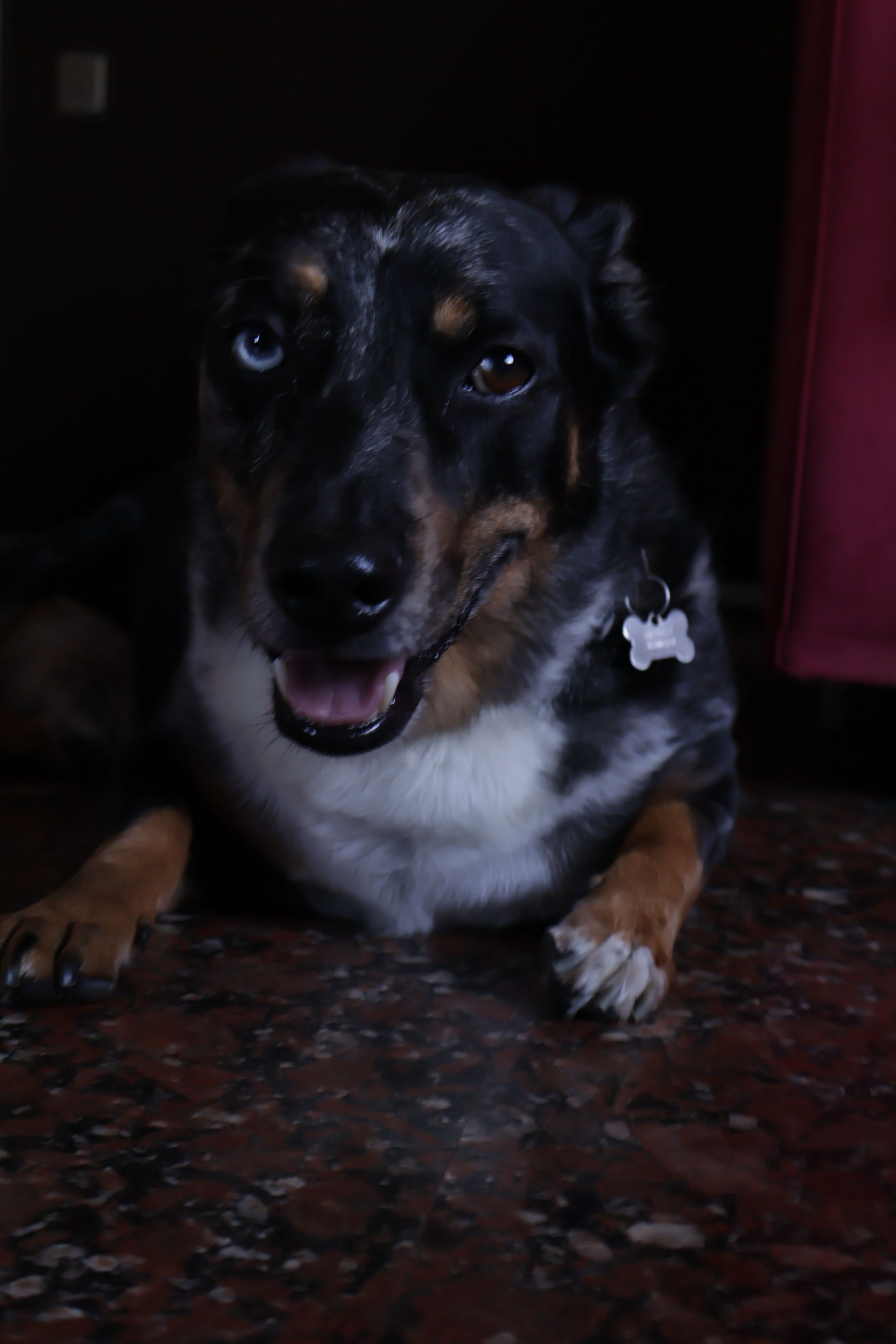 image-12