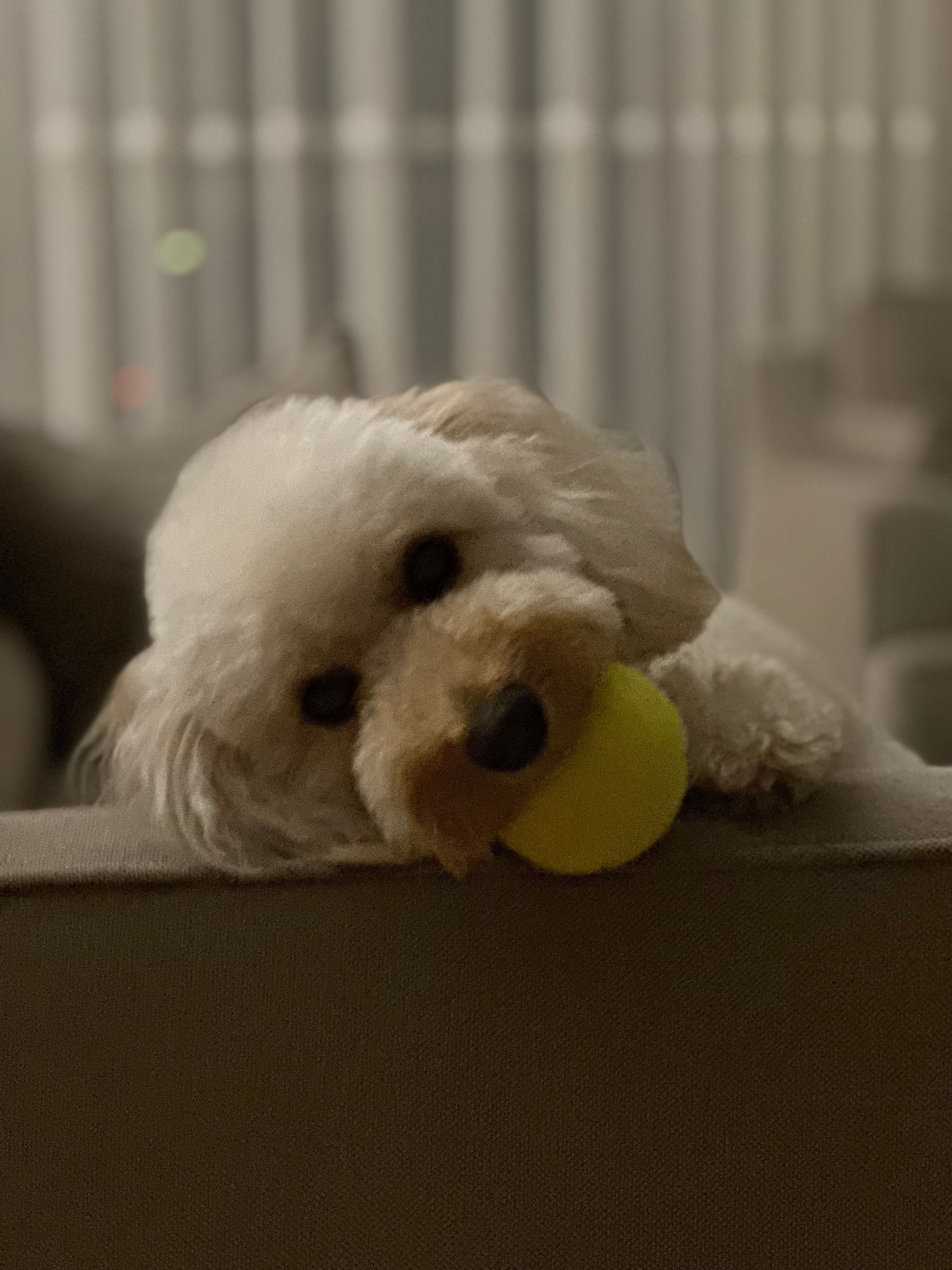 image-8