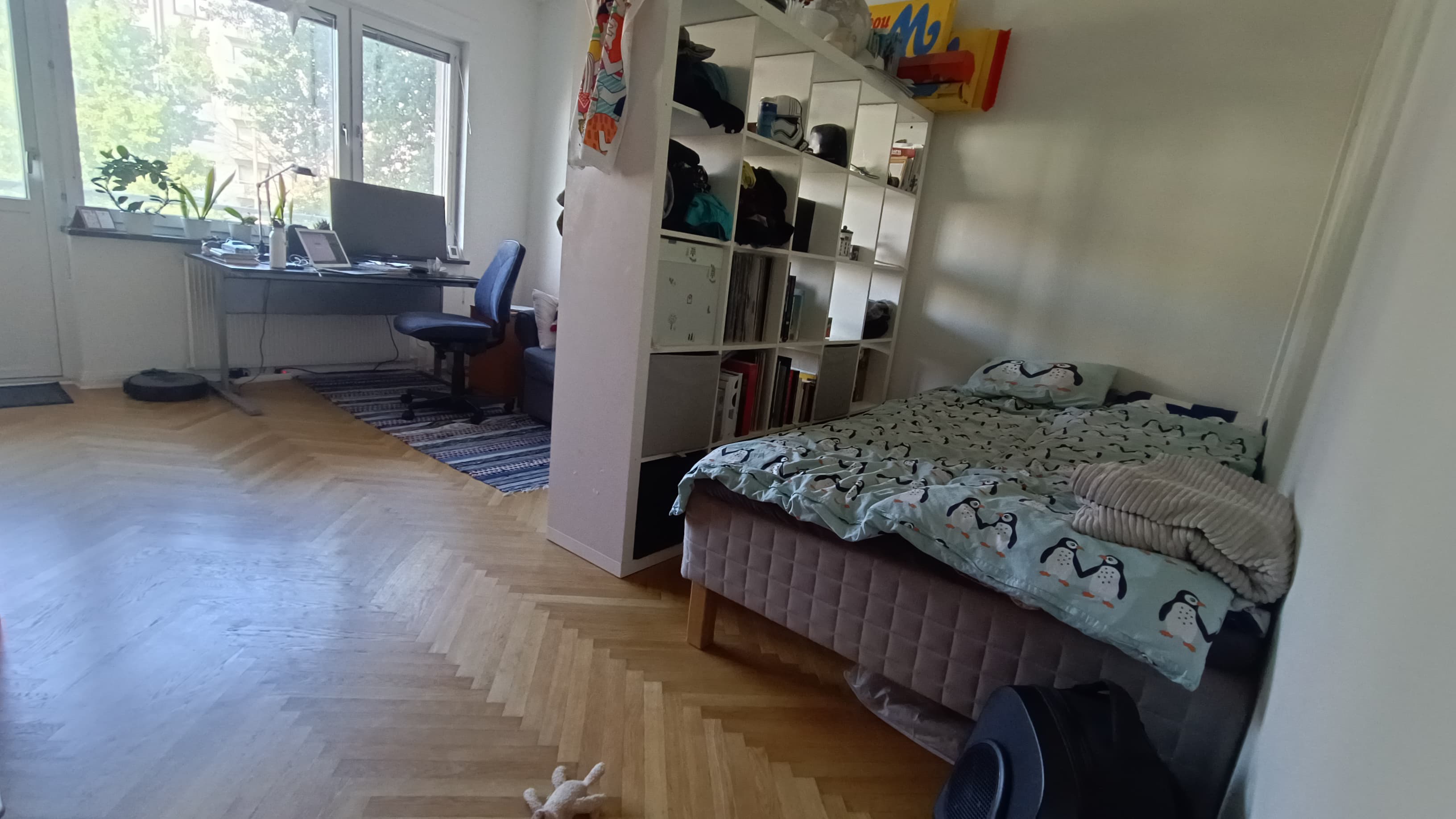 image-19