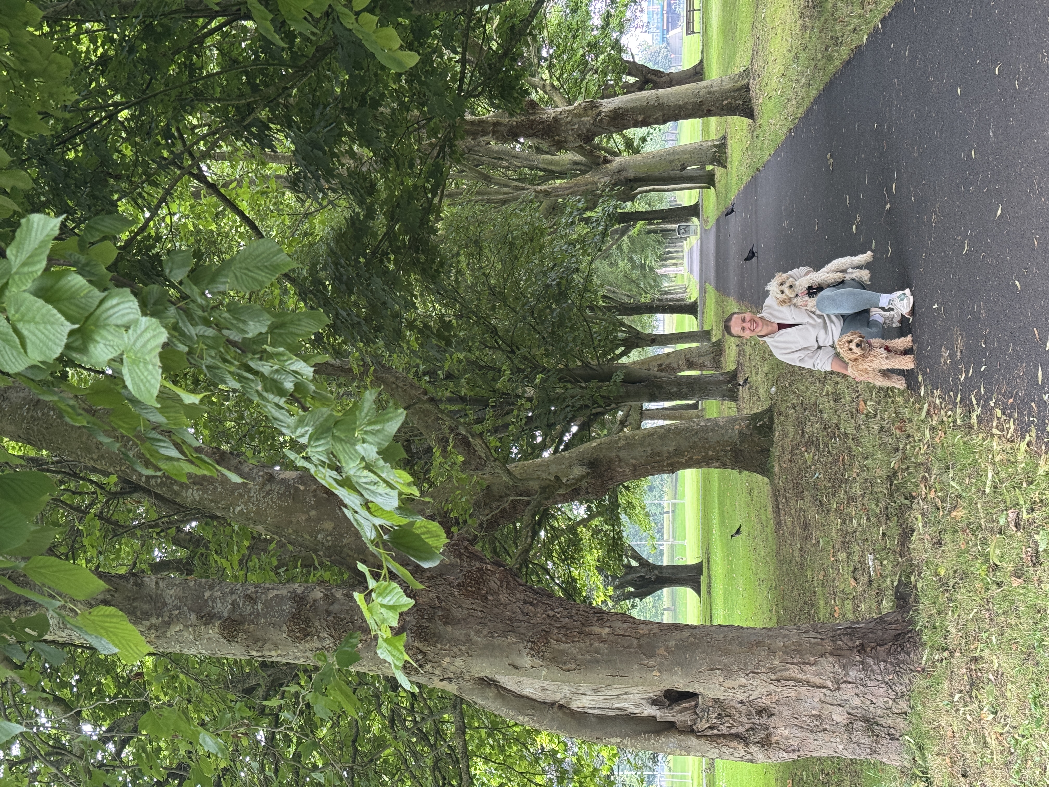 image-10