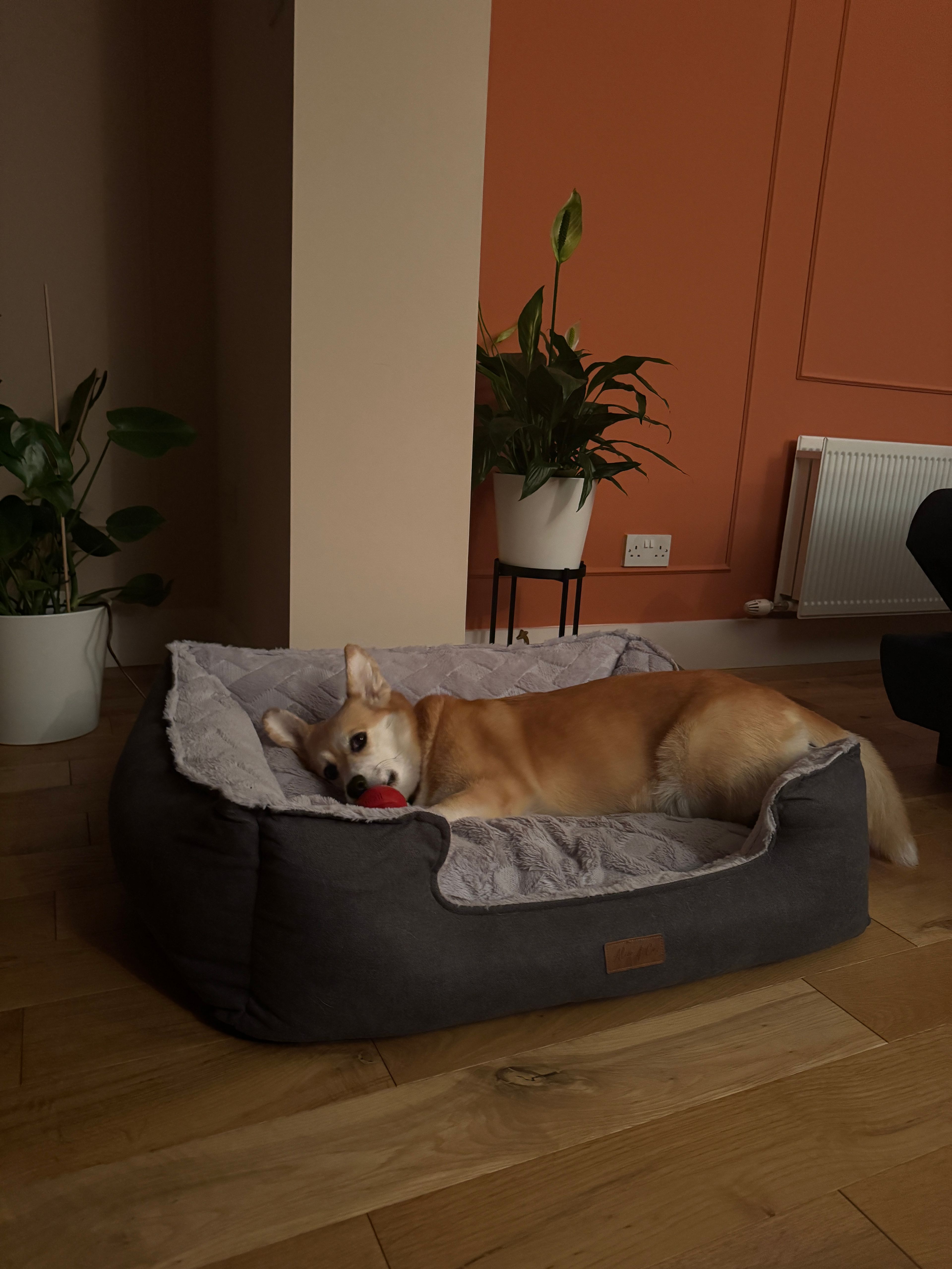 image-14