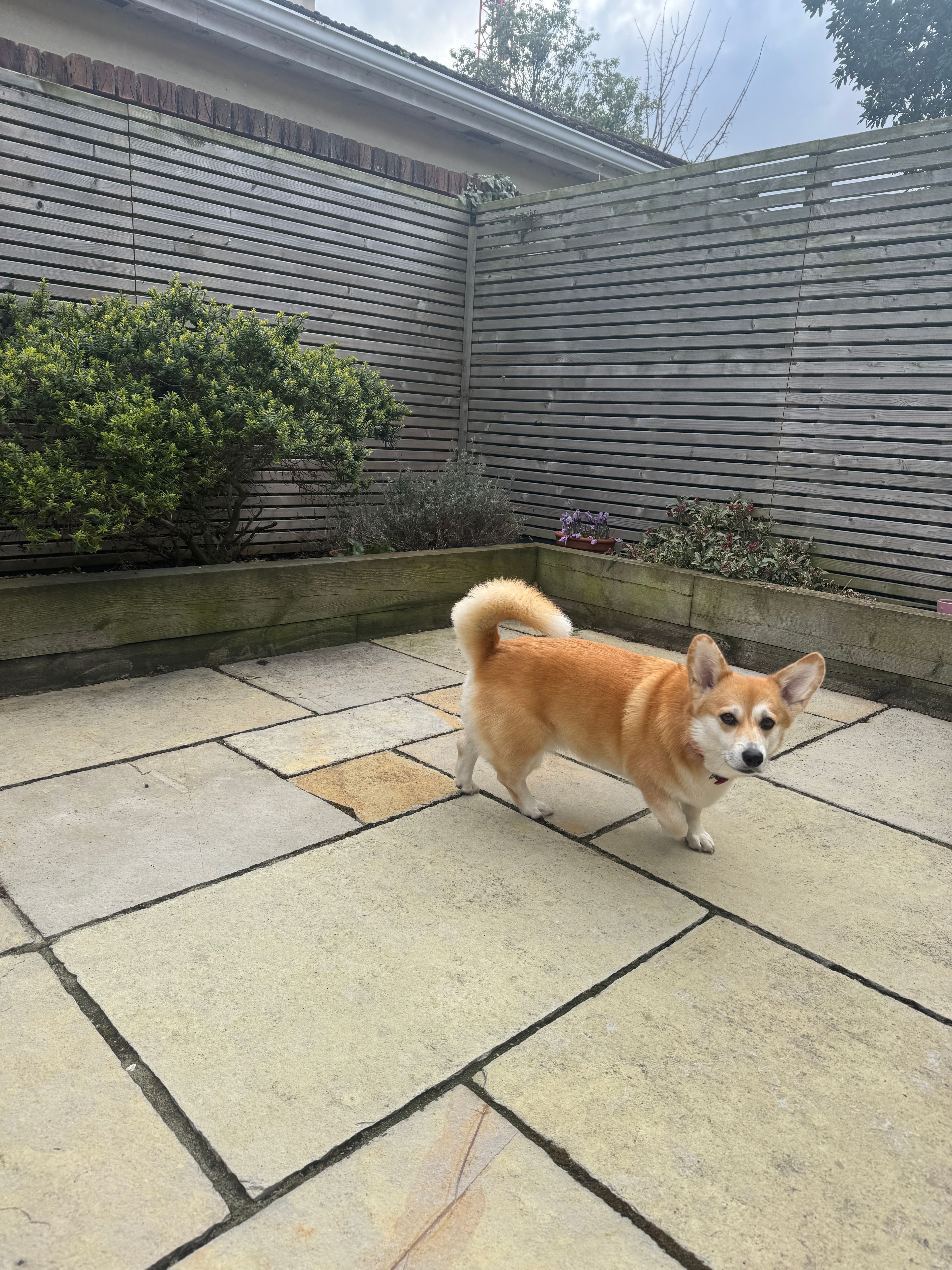 image-13
