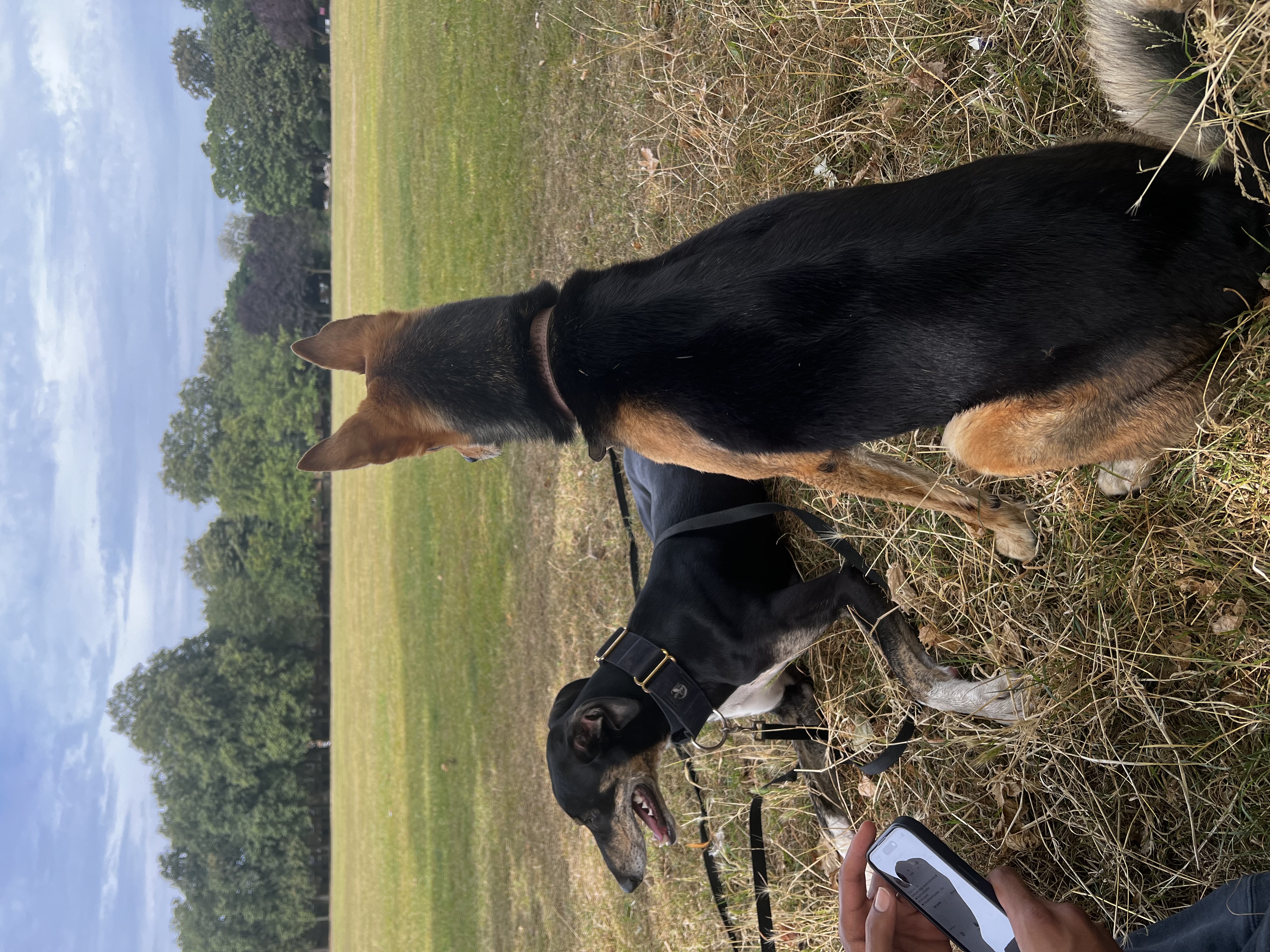 image-6