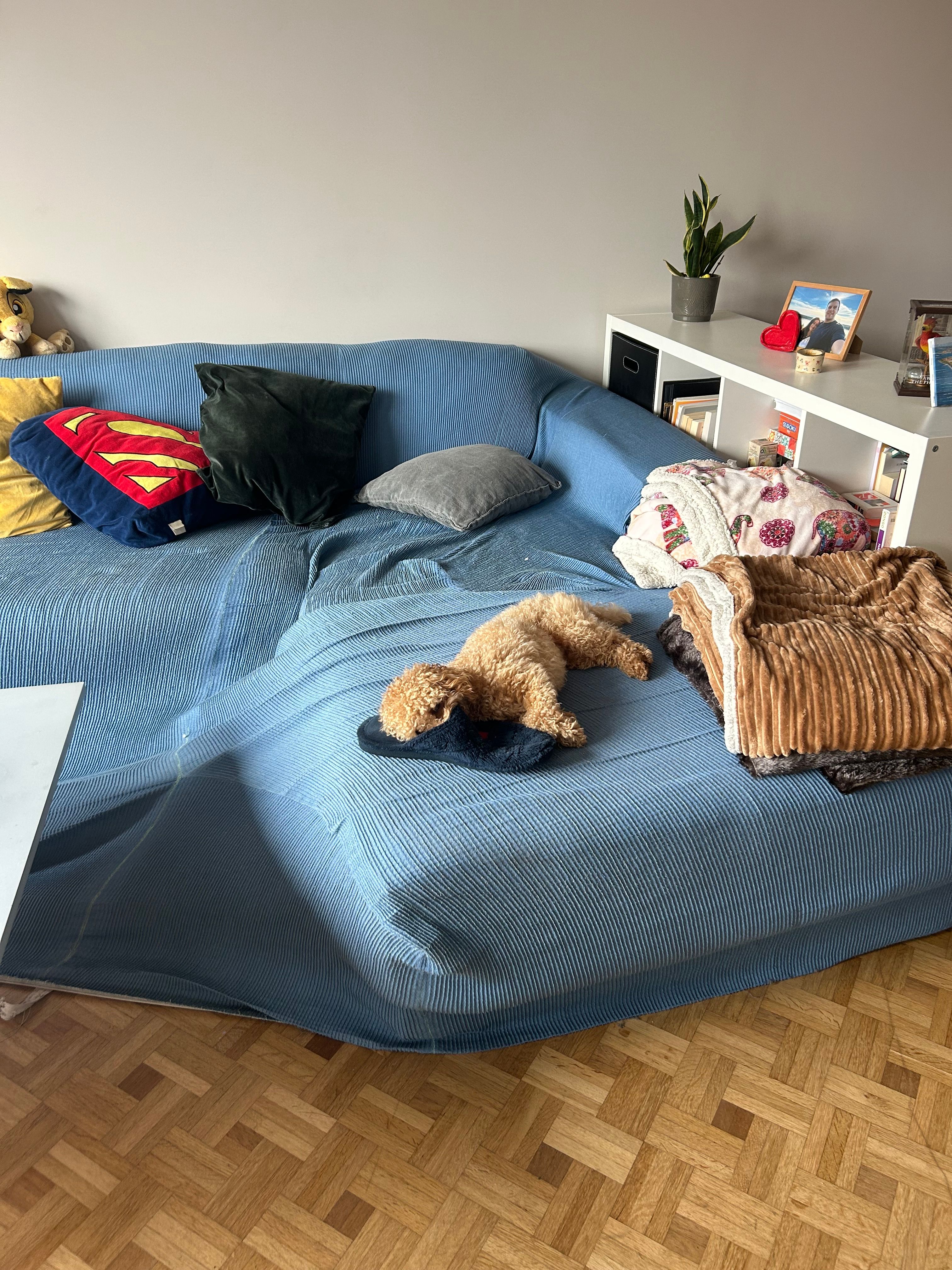 image-13