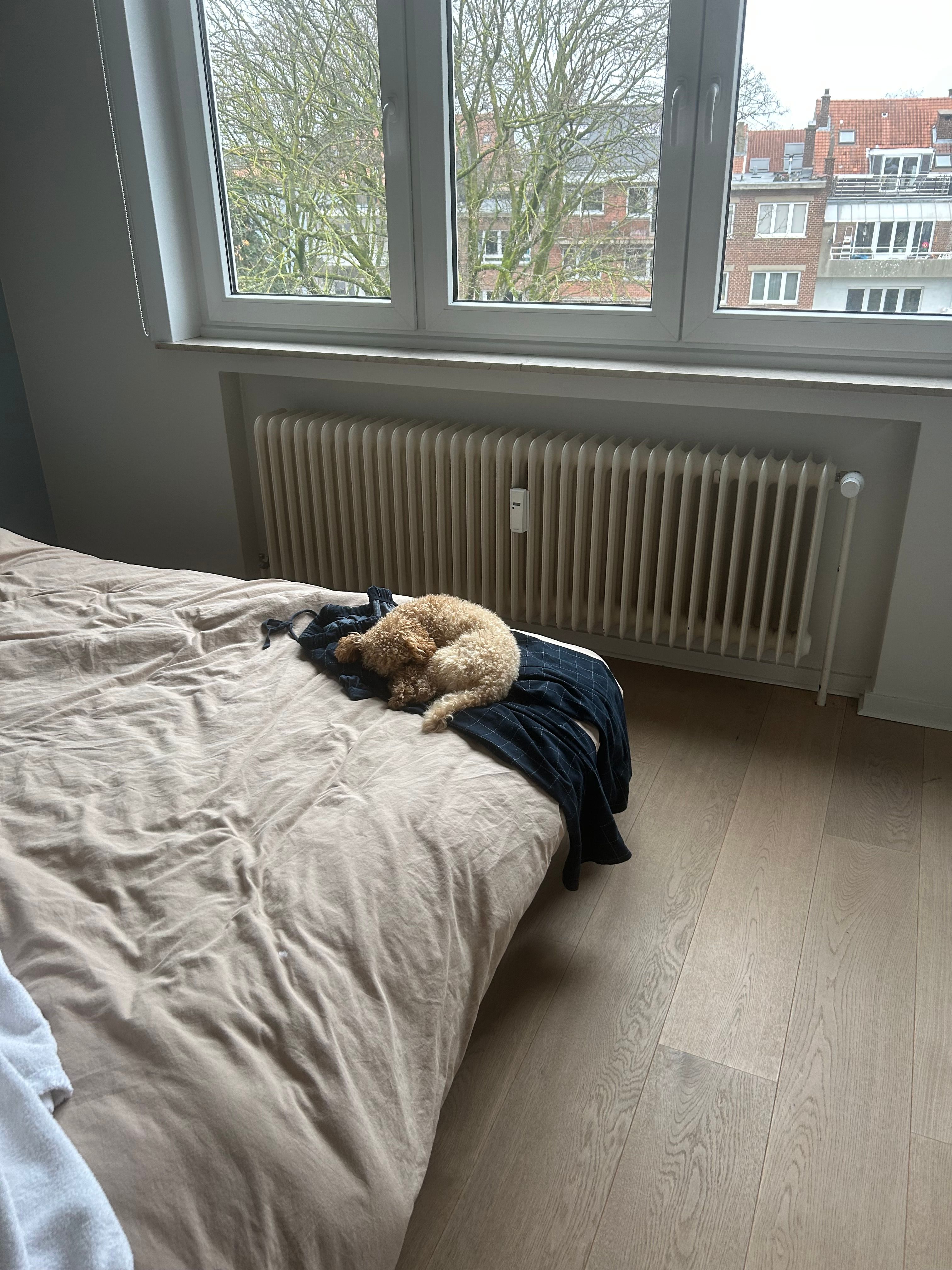 image-14