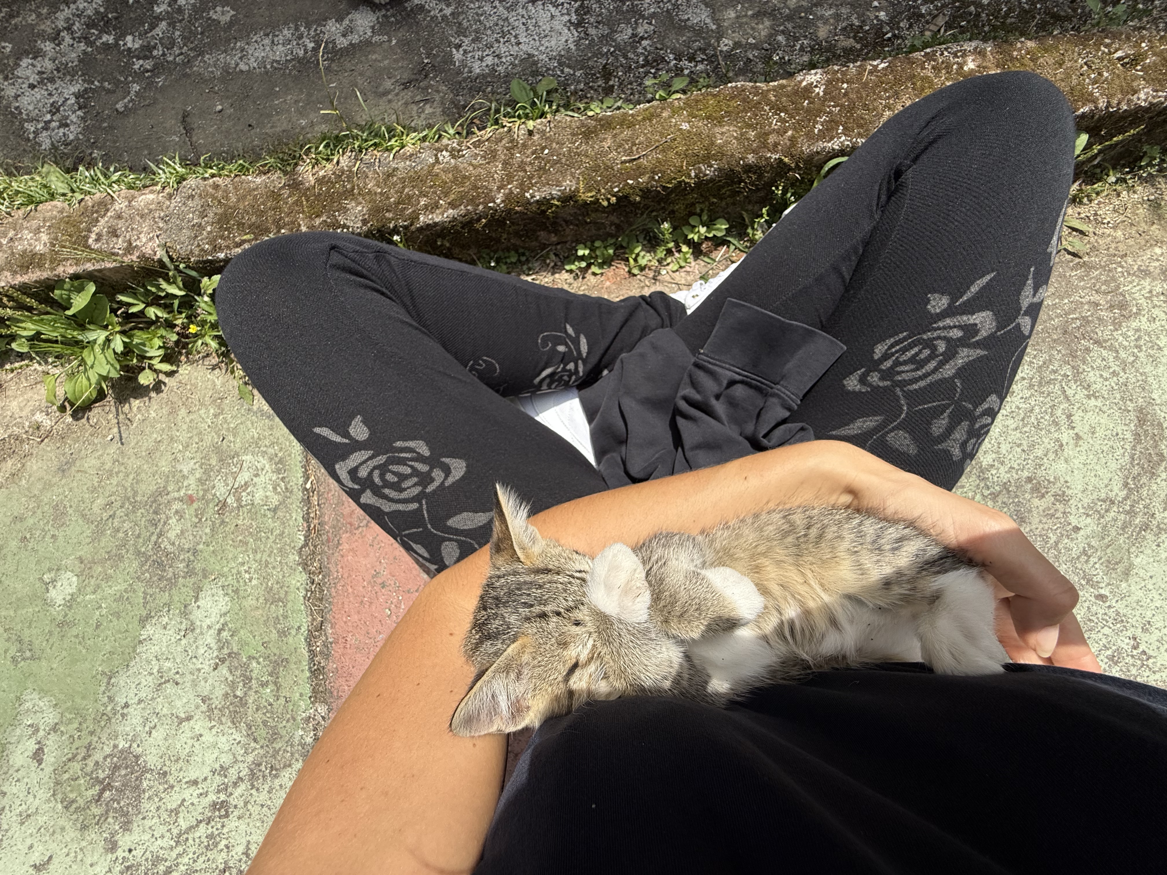 image-8