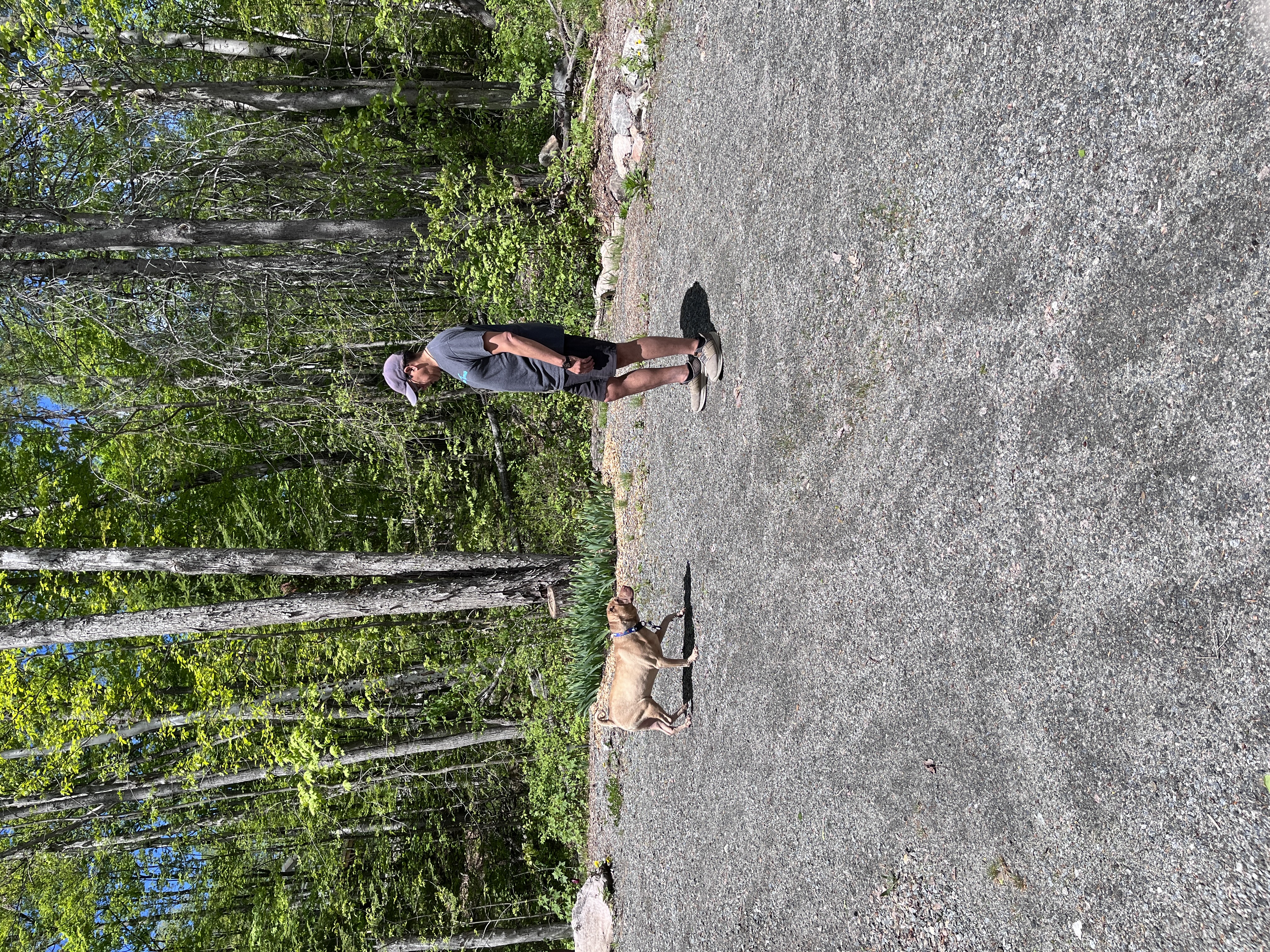 image-18