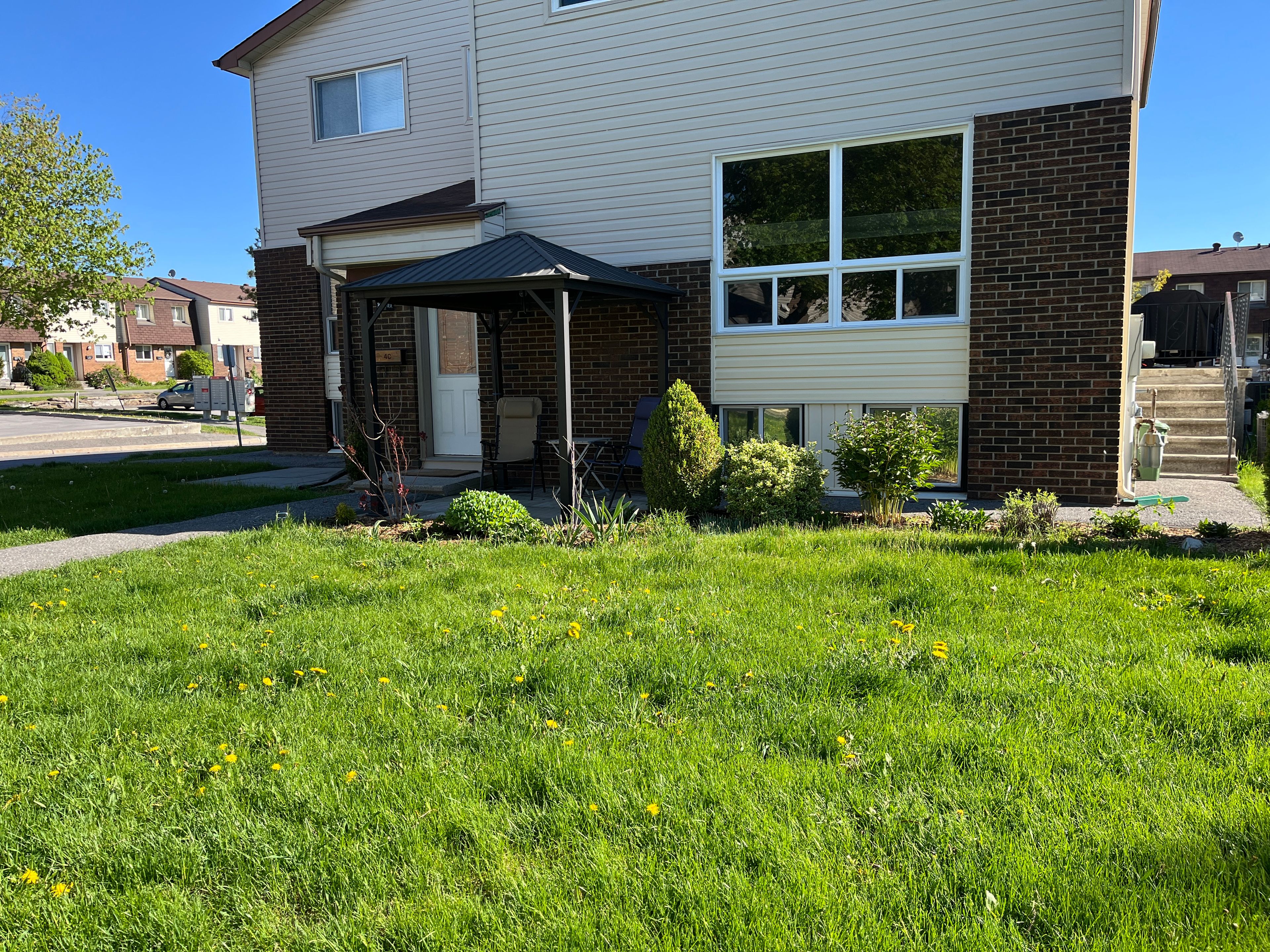 image-19