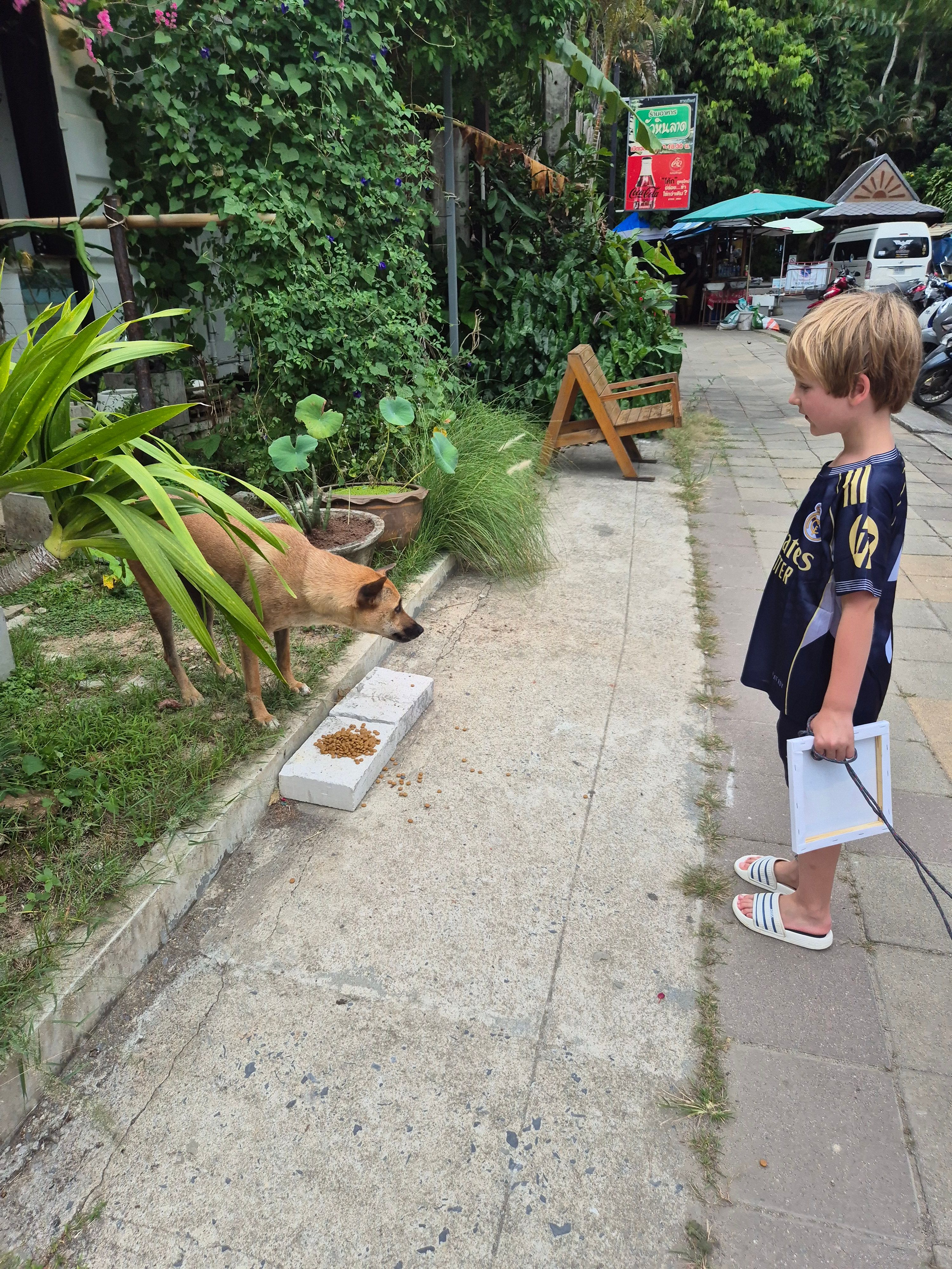 image-5