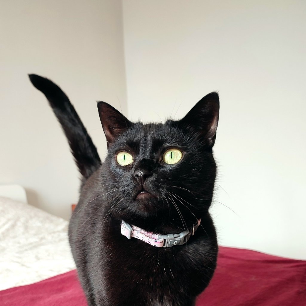 Poupou 