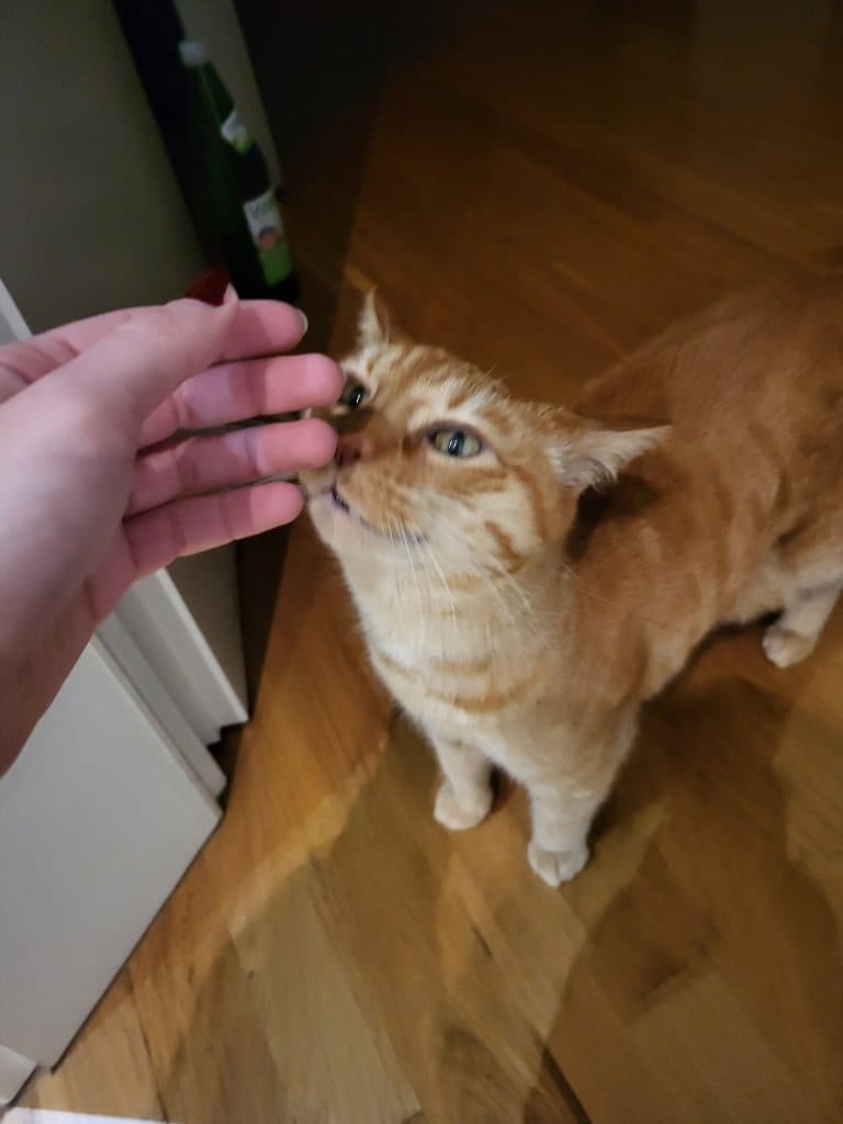 image-16
