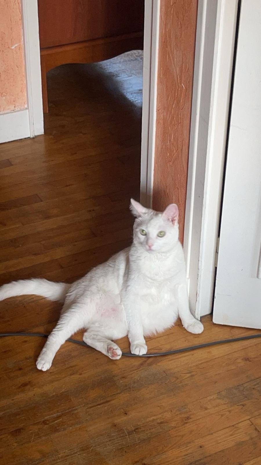 image-8