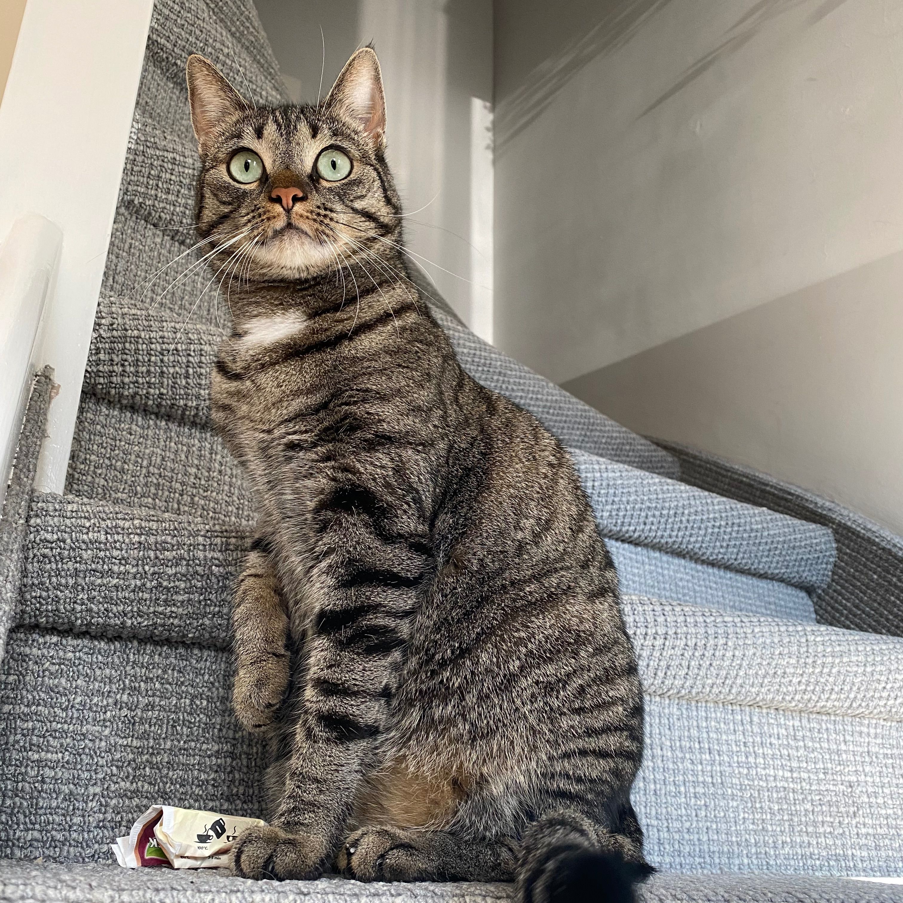 Tina