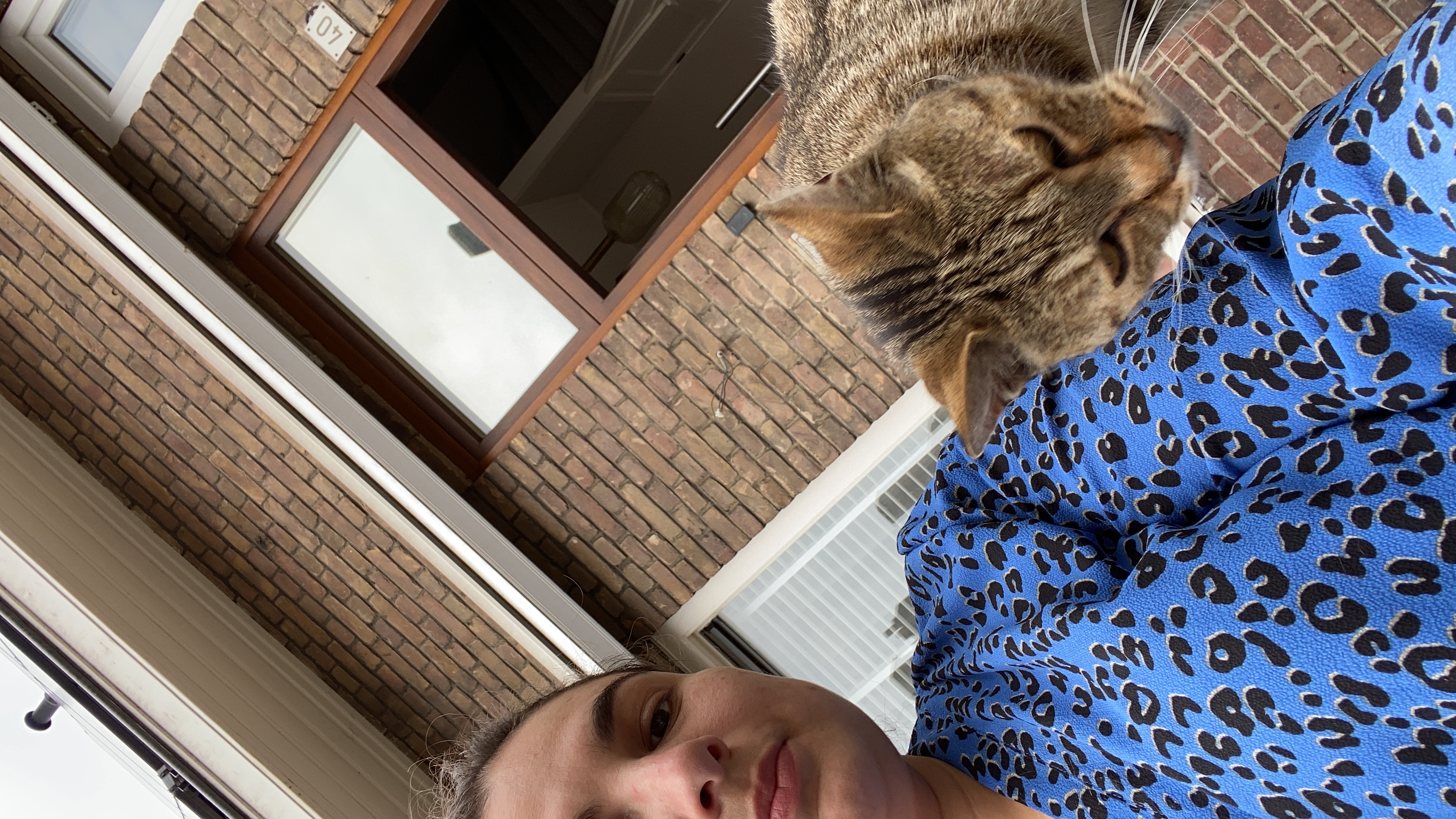 image-15