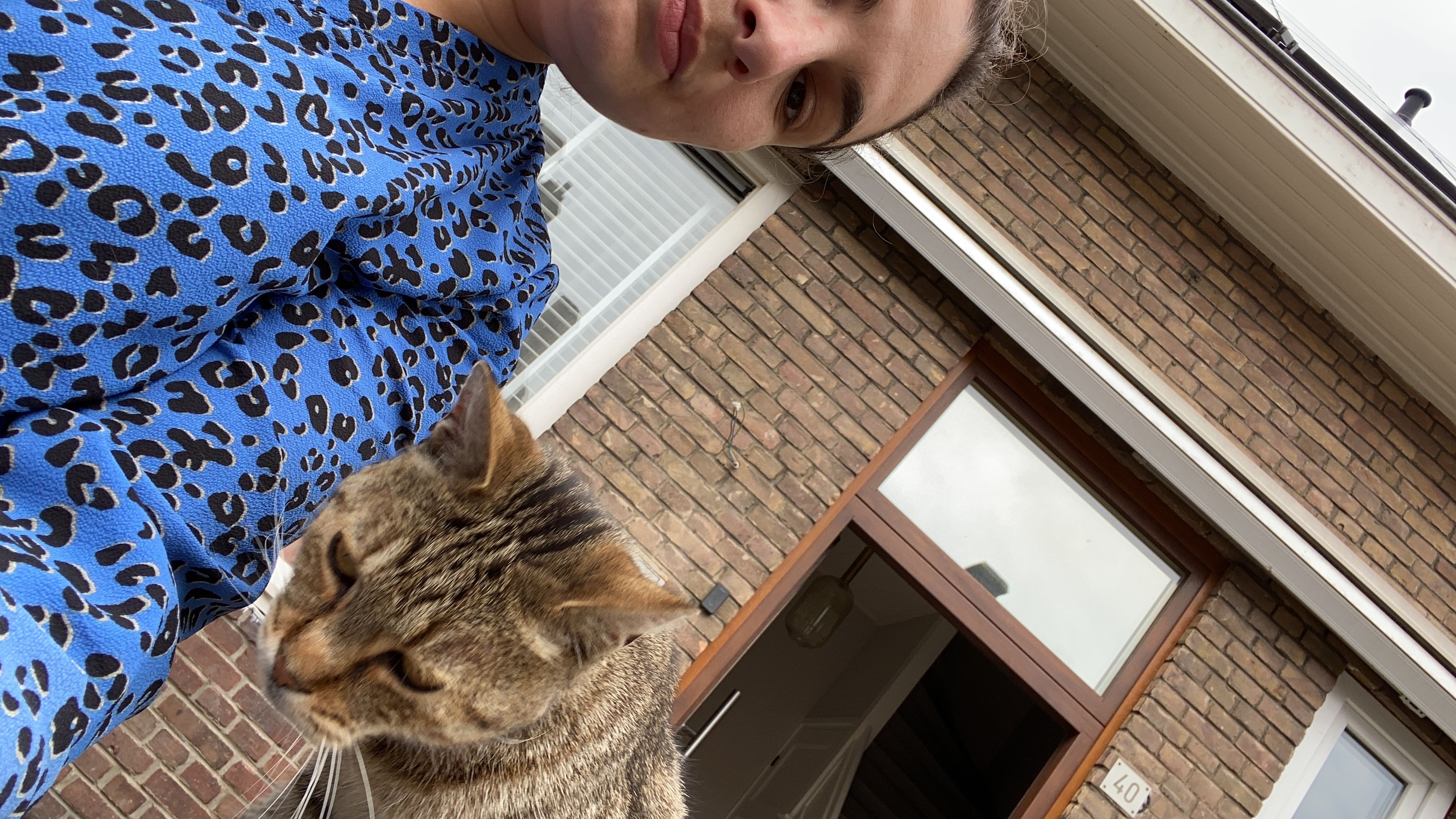 image-15