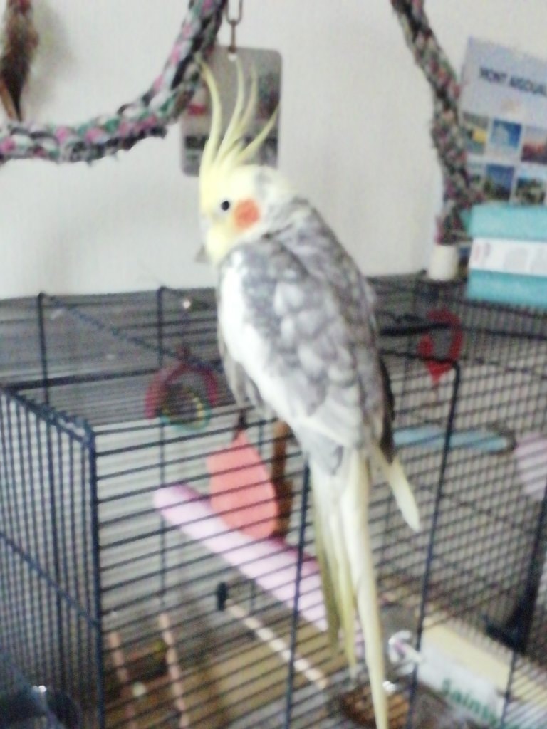image-8