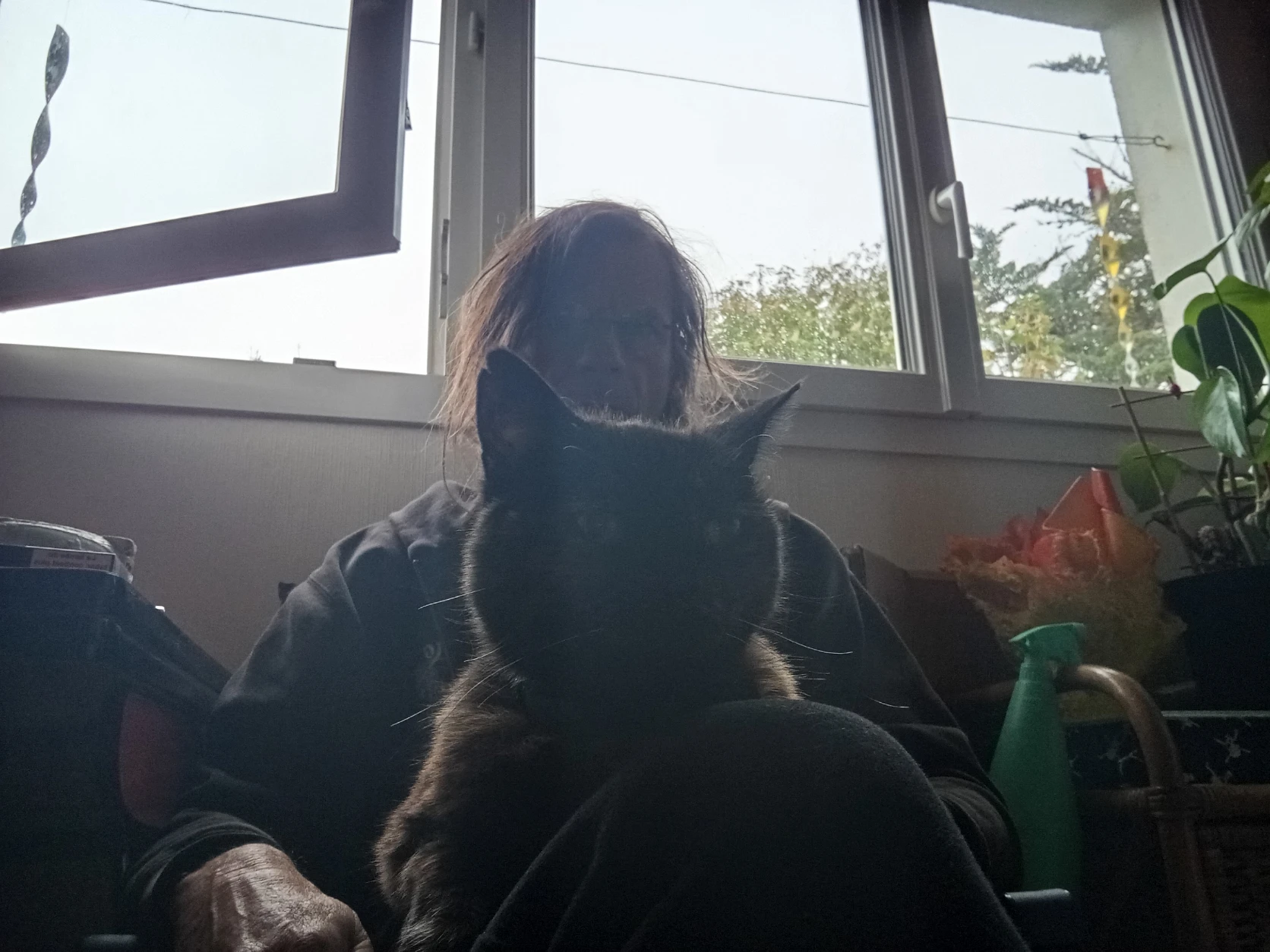 image-6
