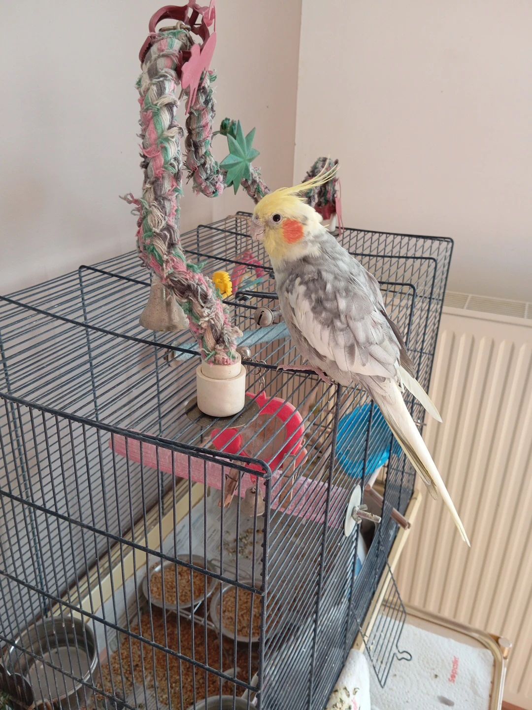 image-12