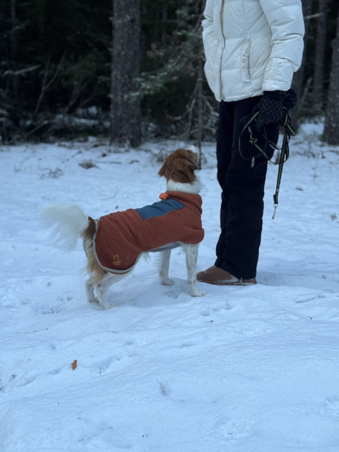 image-6