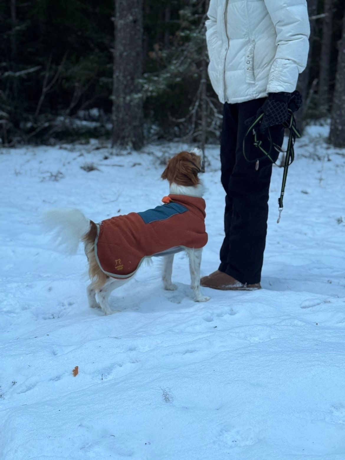 image-6