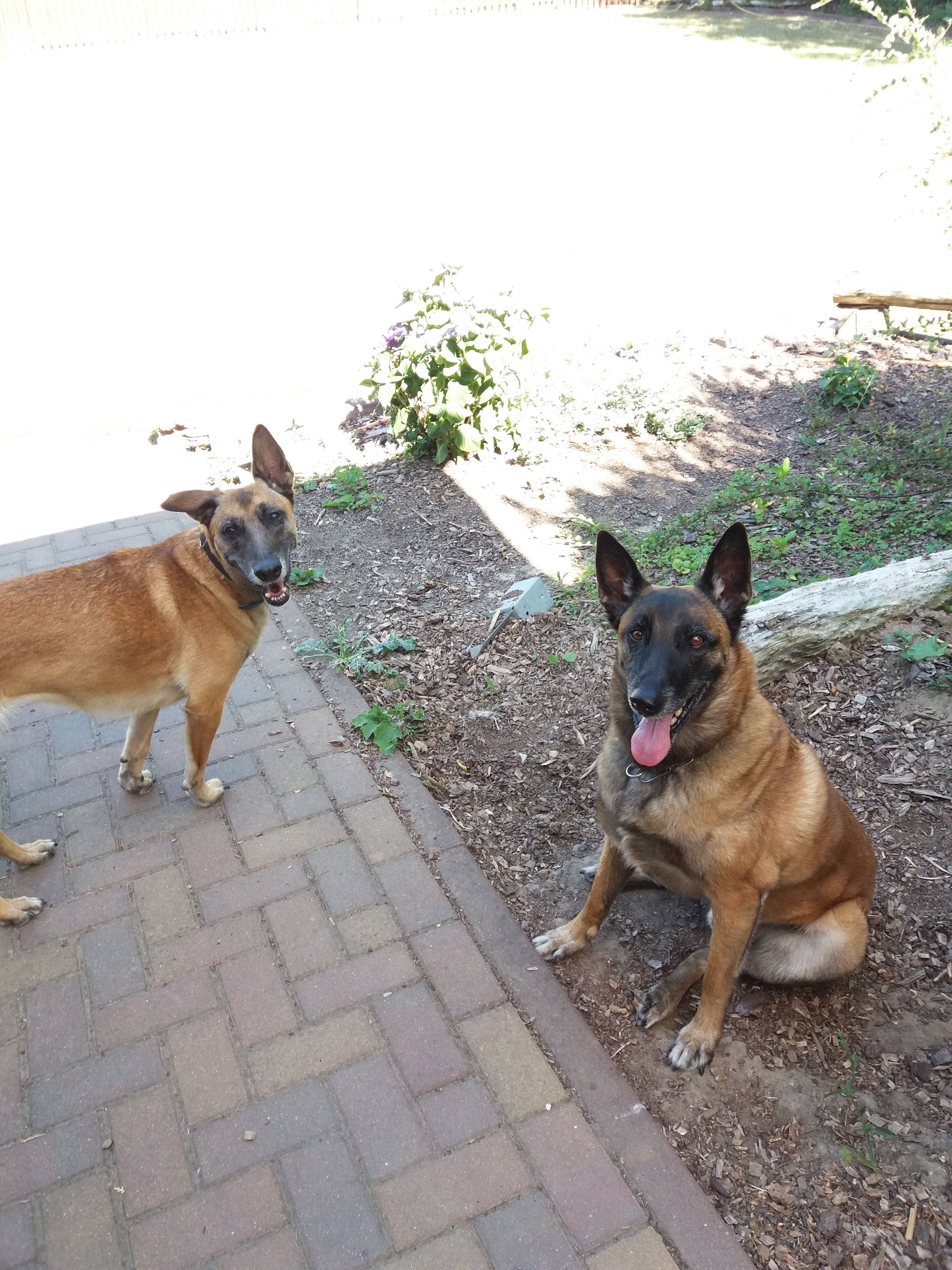 image-8