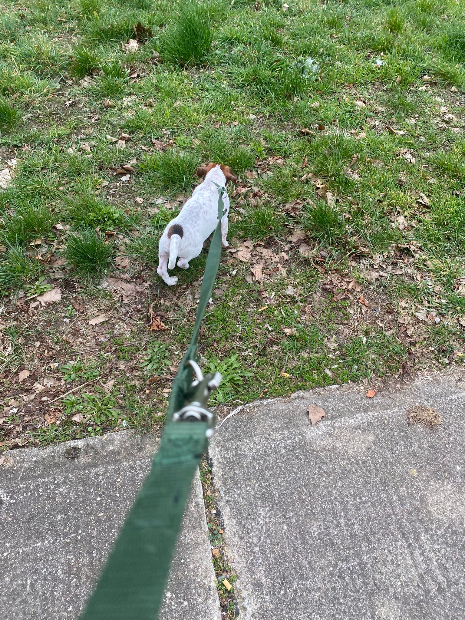 image-15
