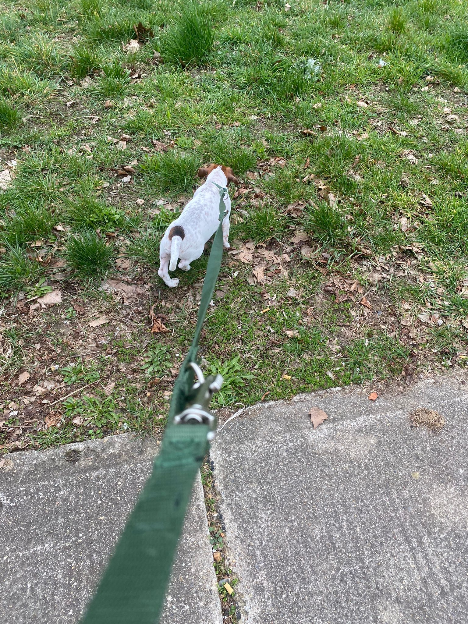 image-15