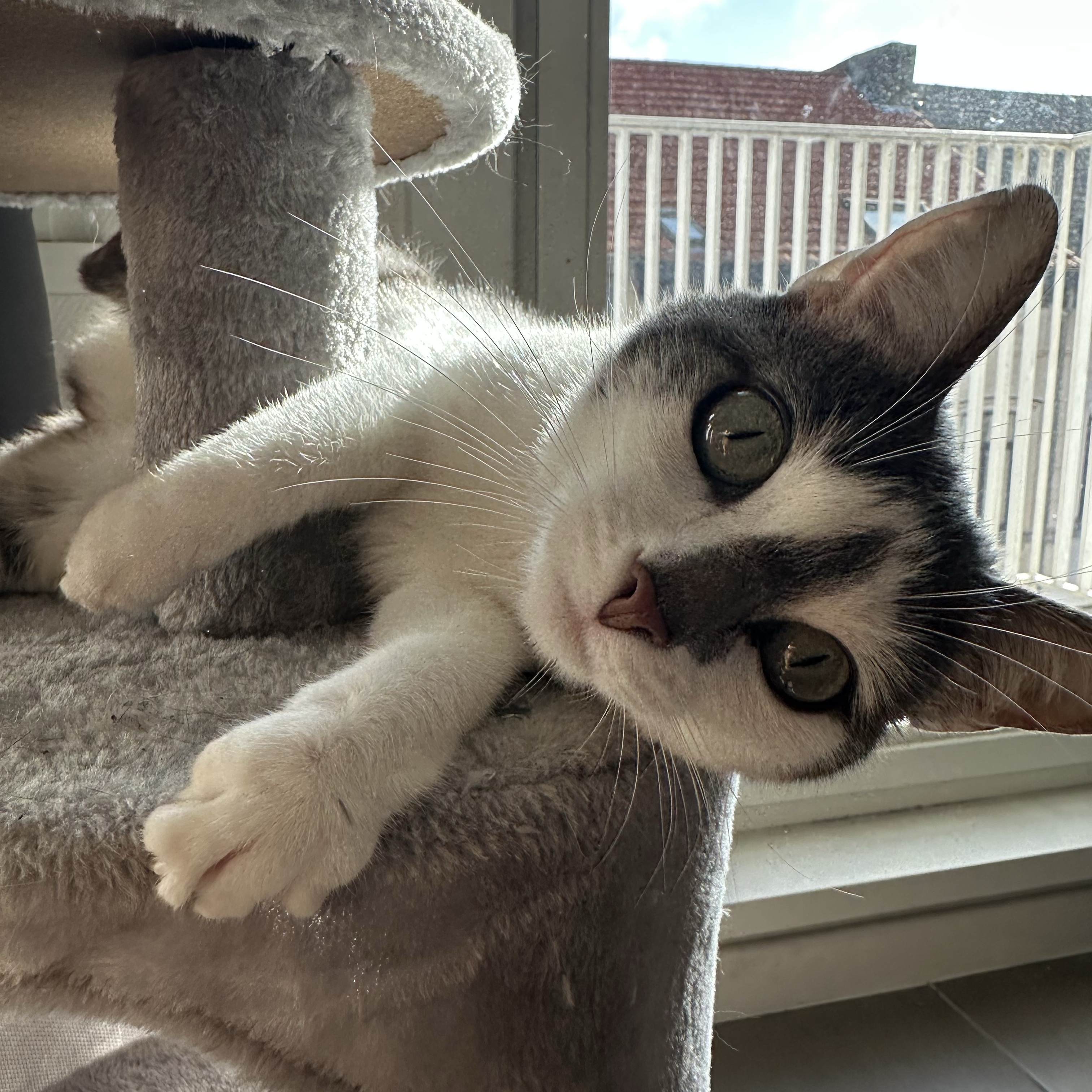Hera