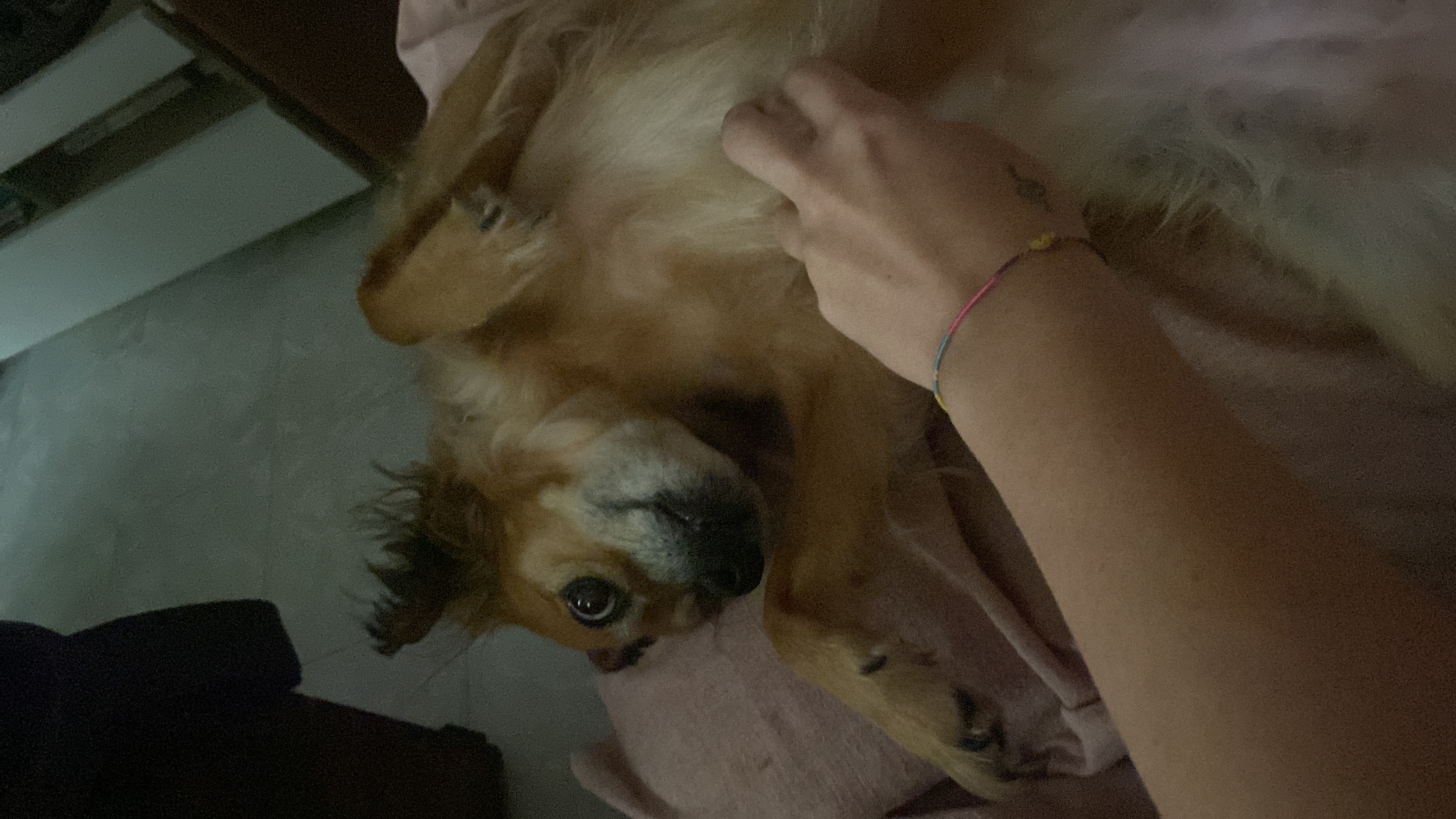 image-7