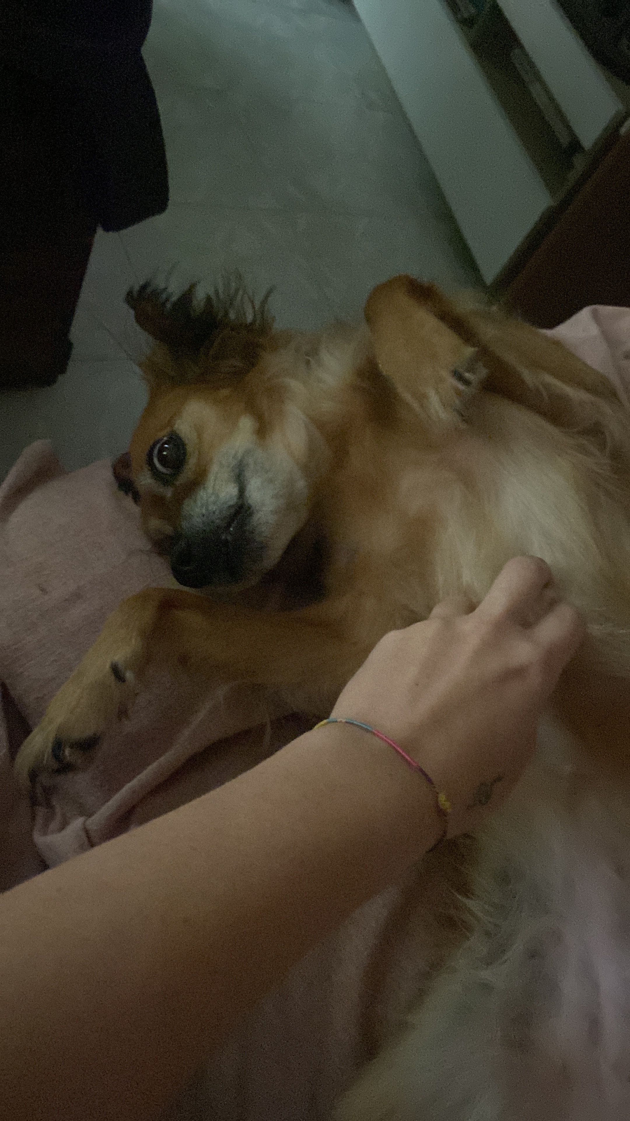 image-7