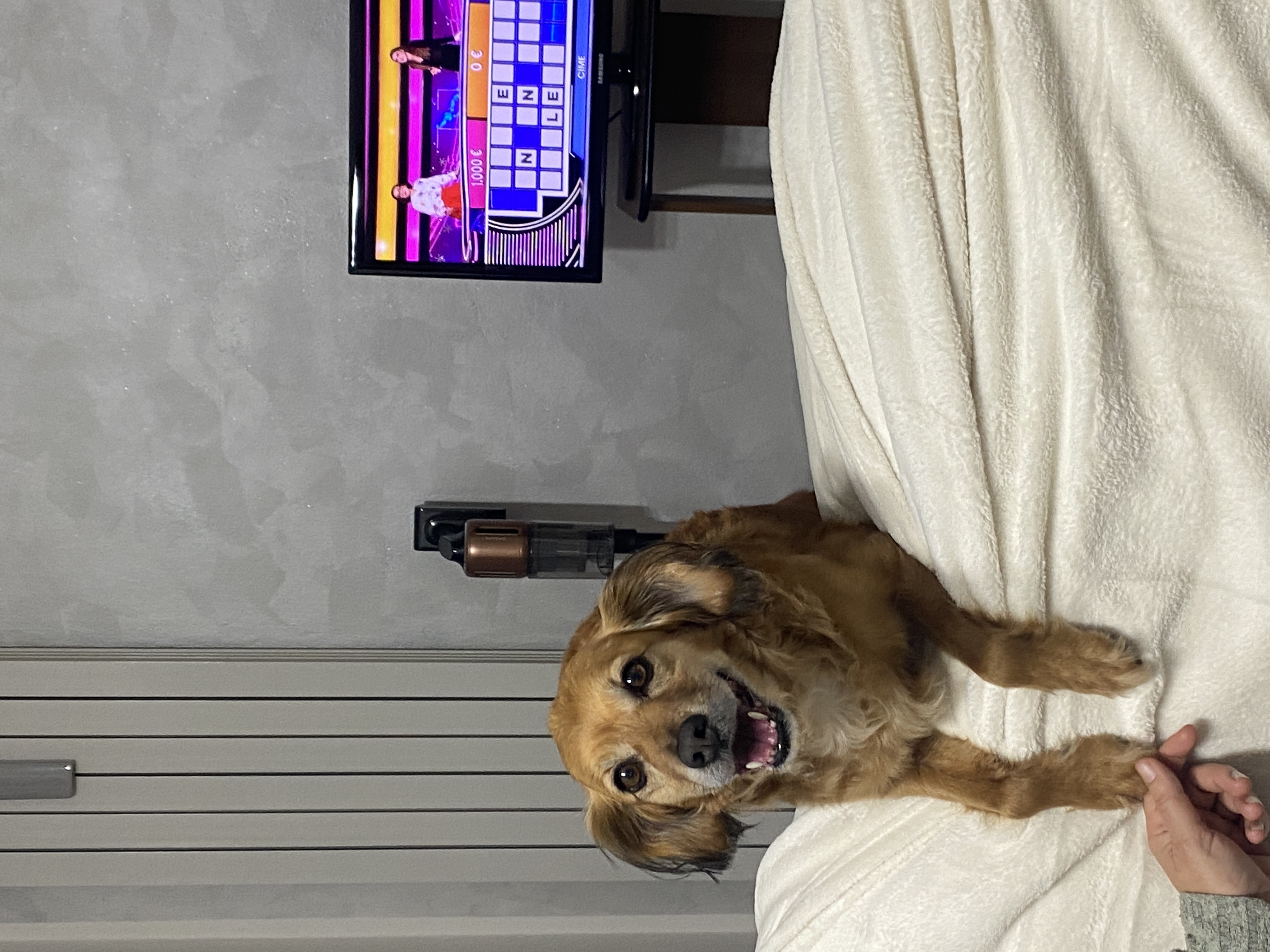 image-8