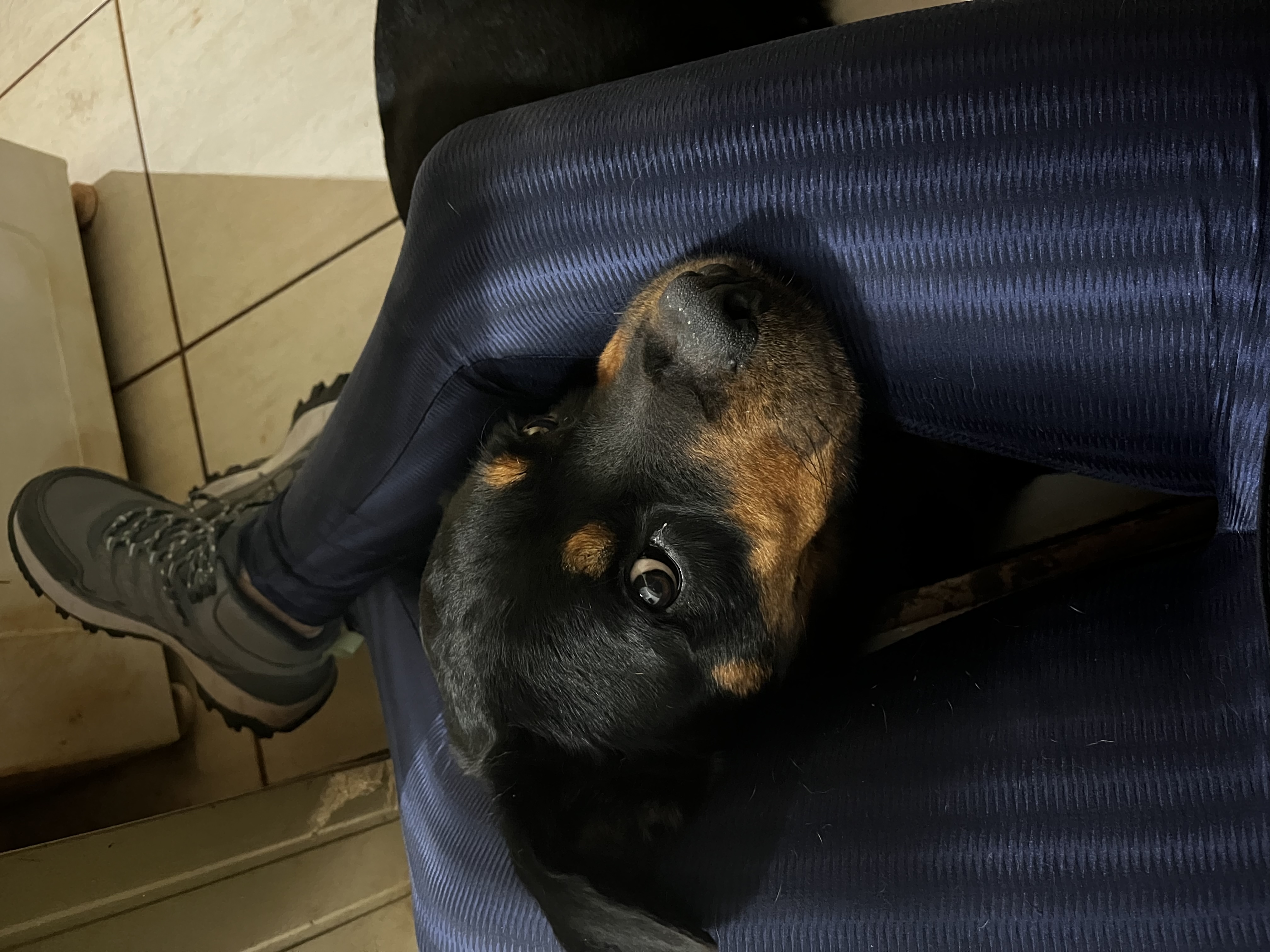 image-7