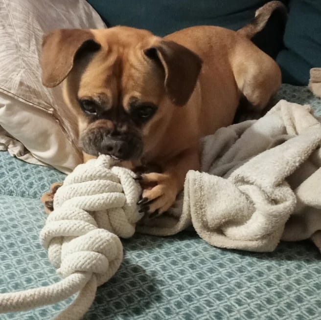 Ellie