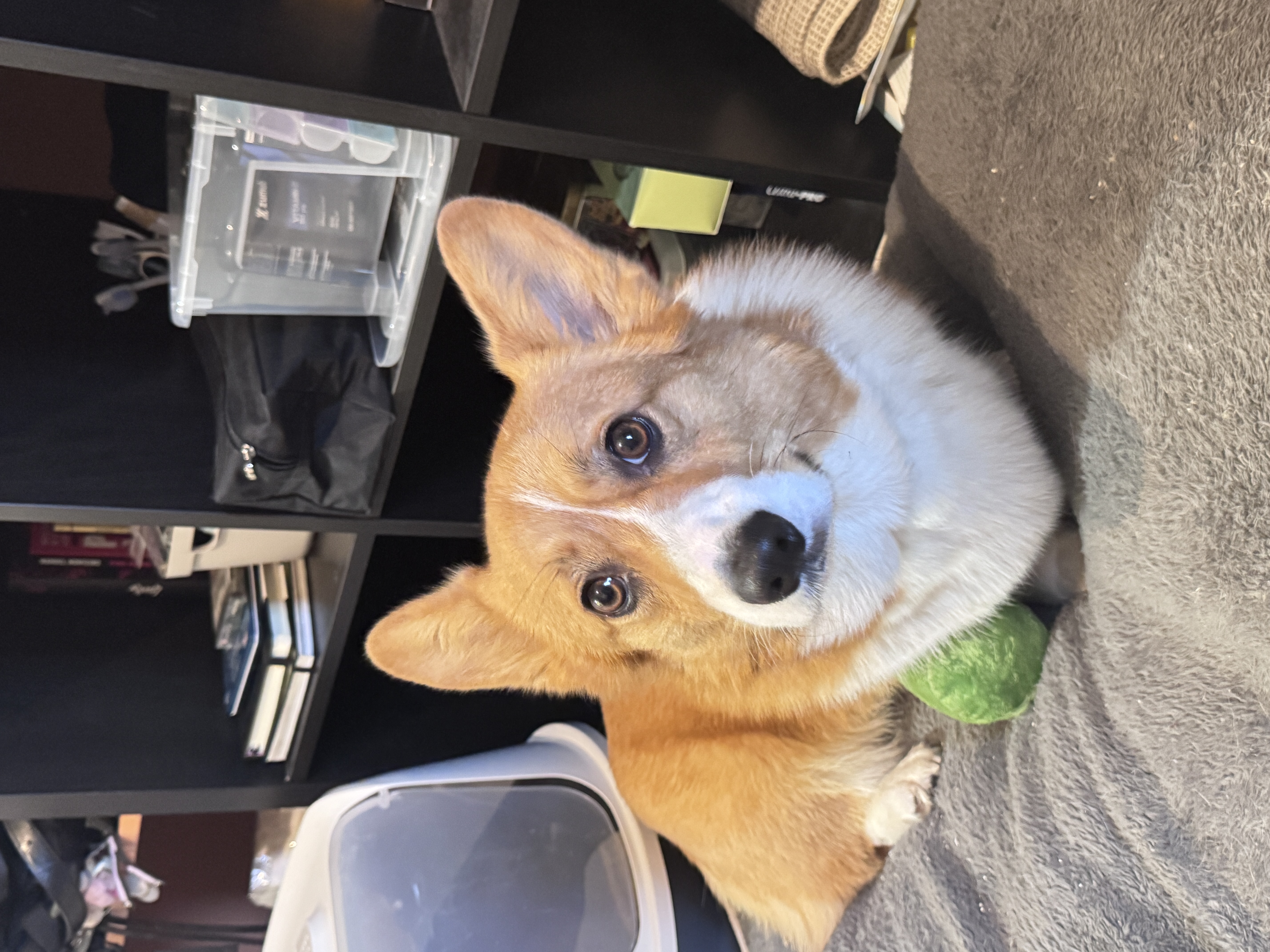 image-7