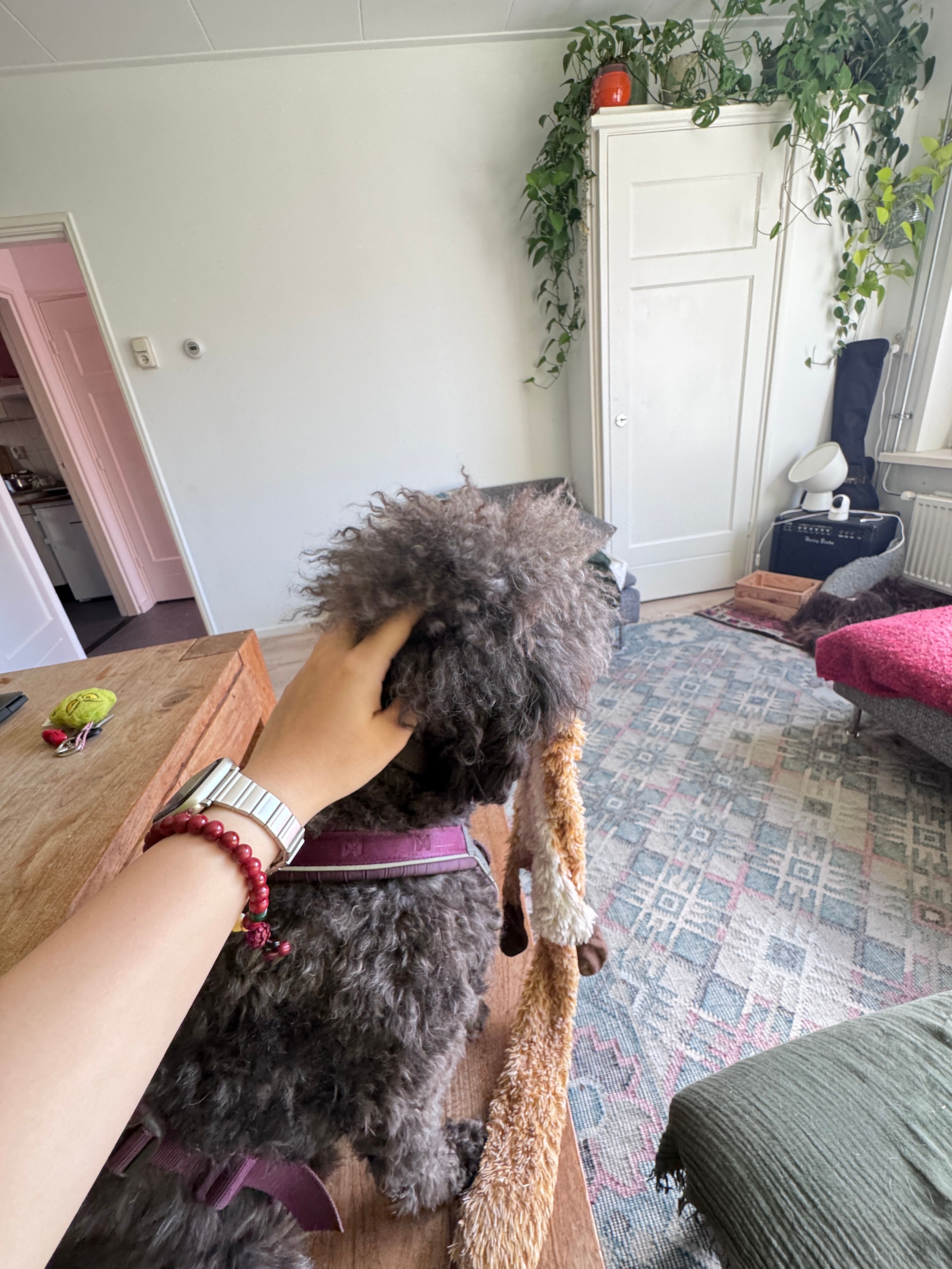 image-5
