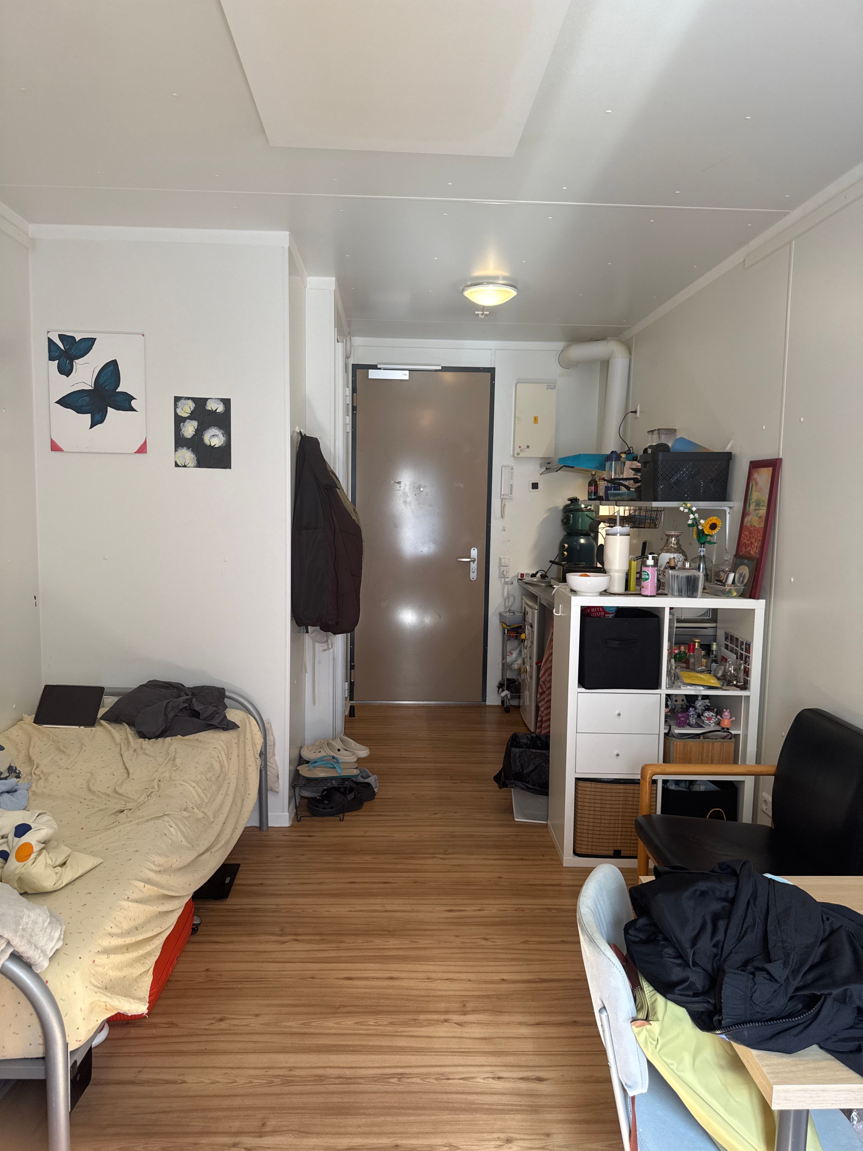 image-17