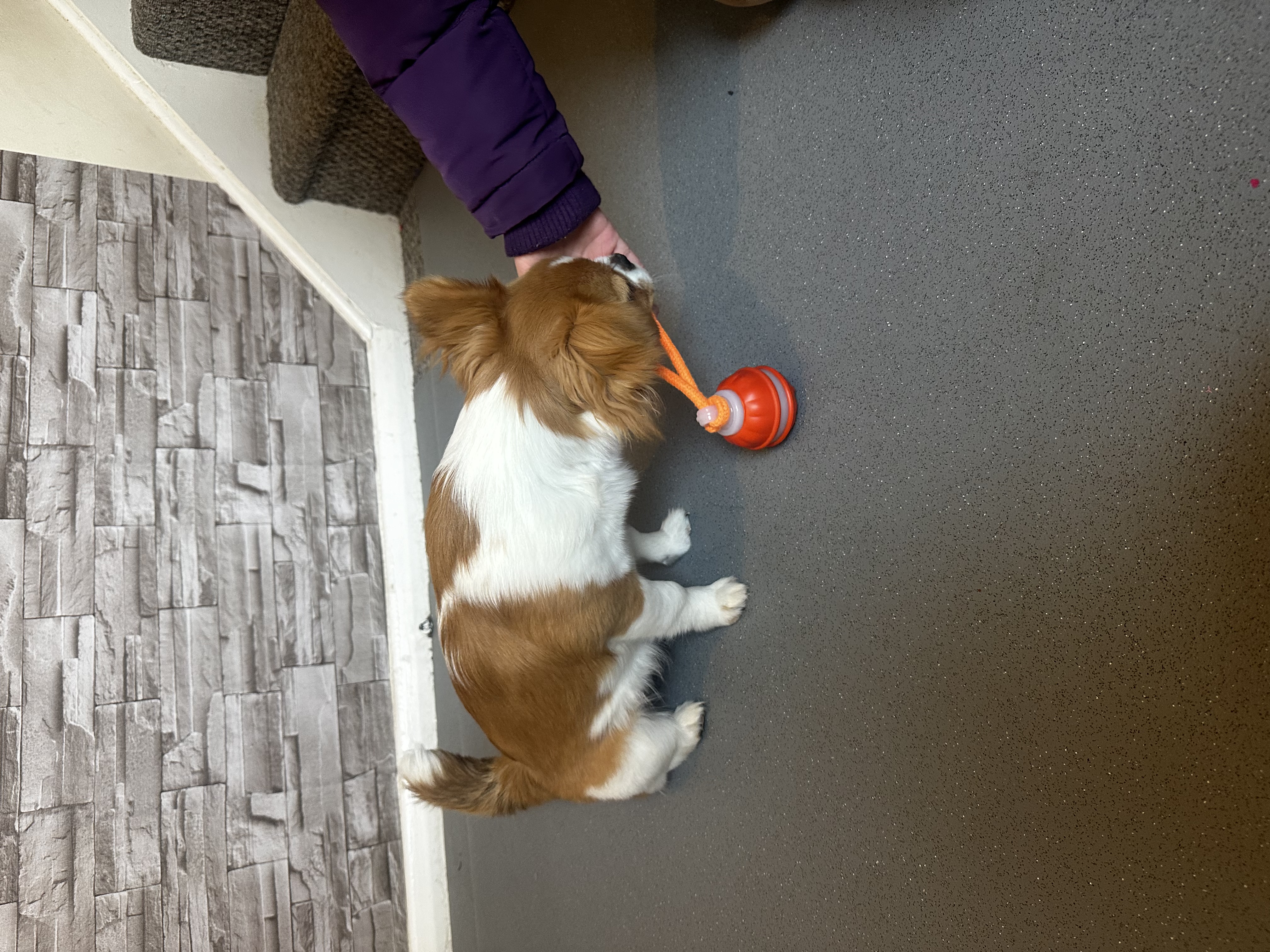 image-8