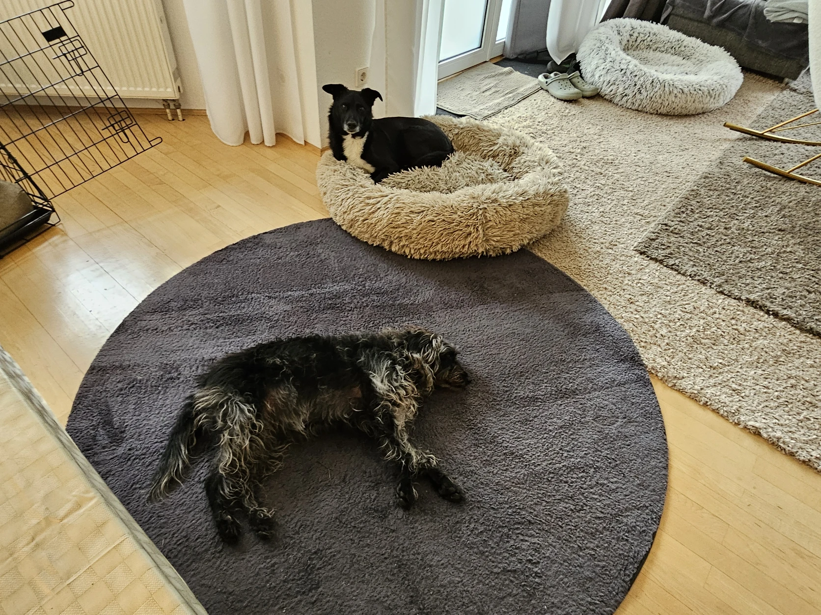 image-18