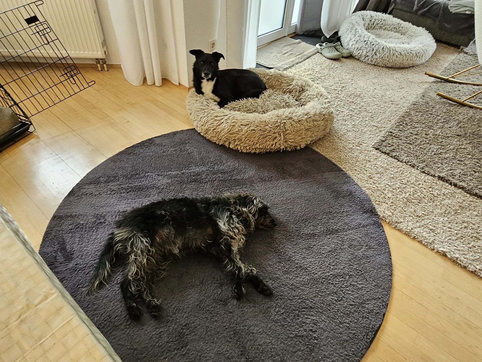 image-18