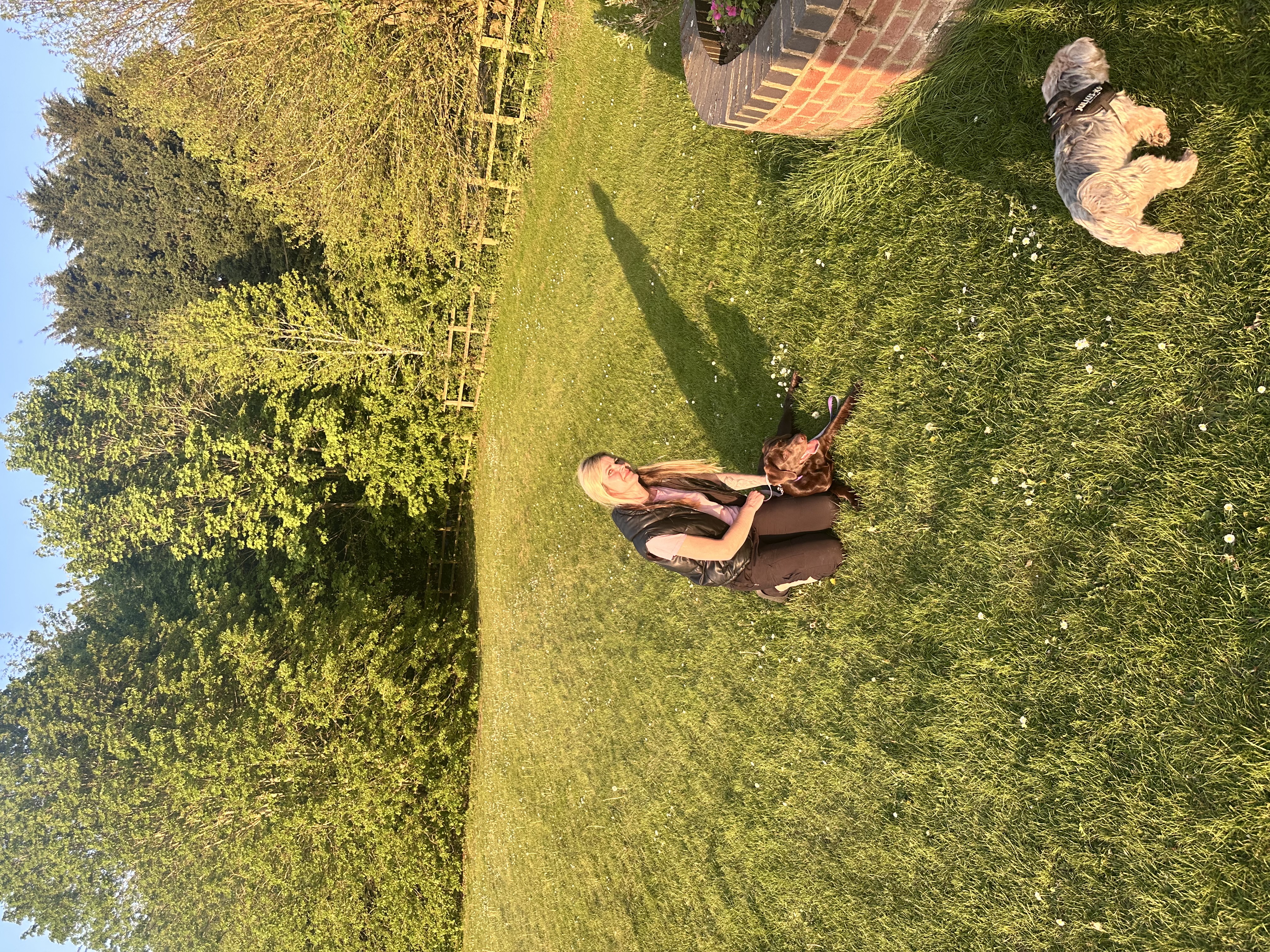 image-8