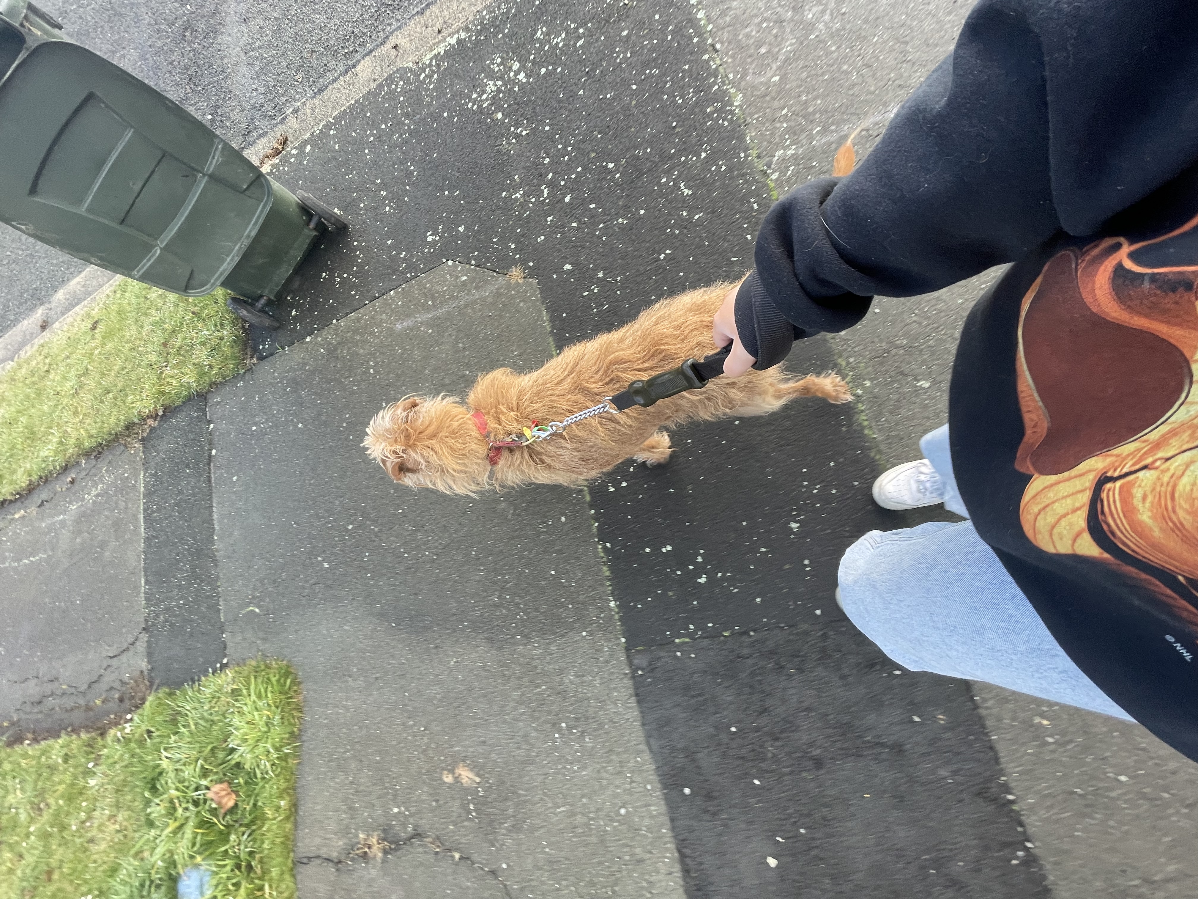 image-7