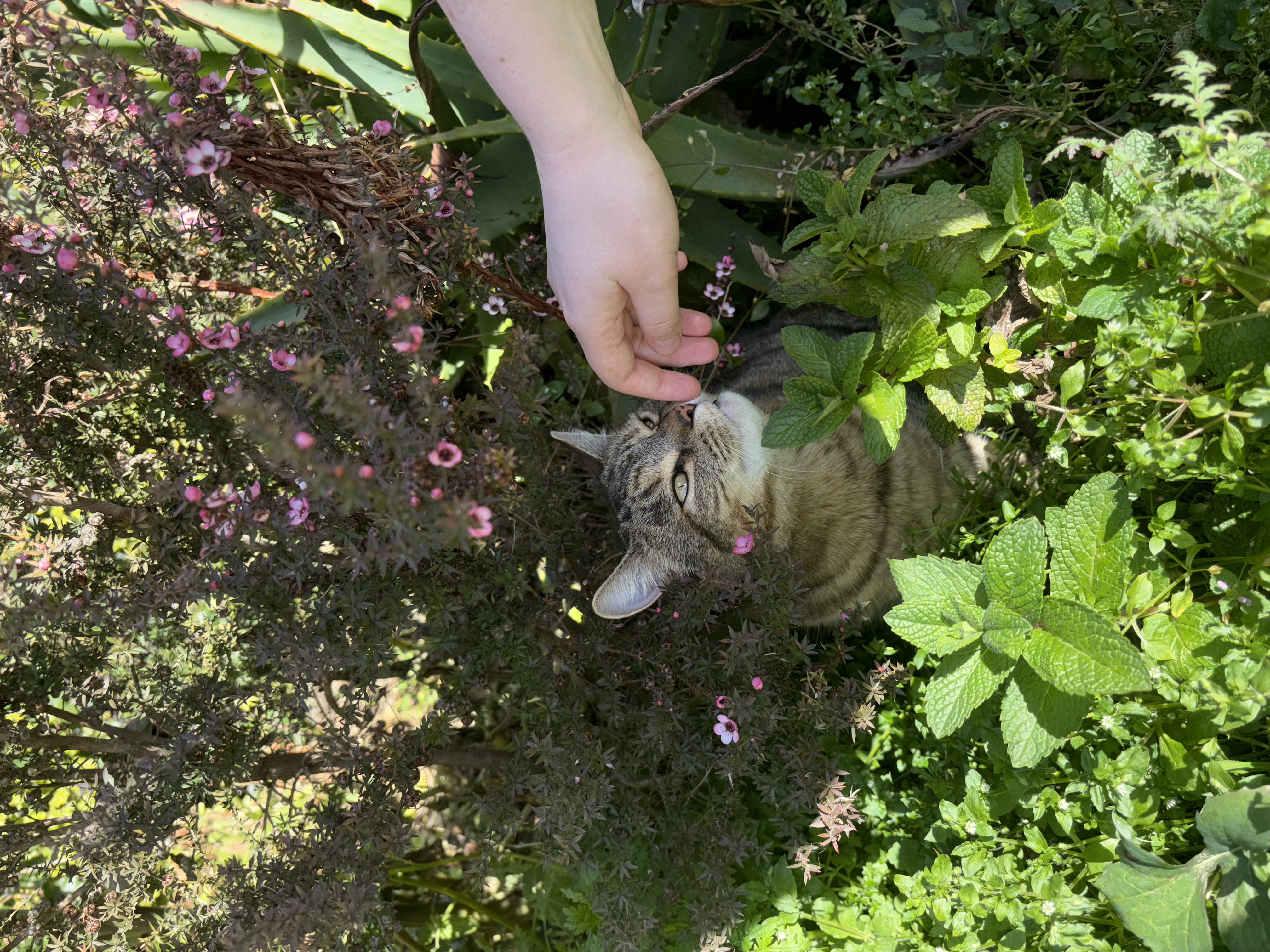 image-6