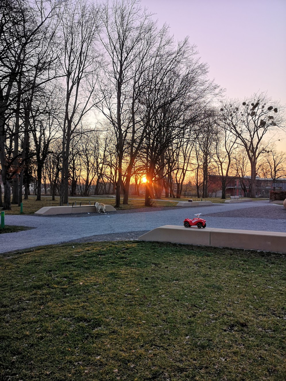 image-16