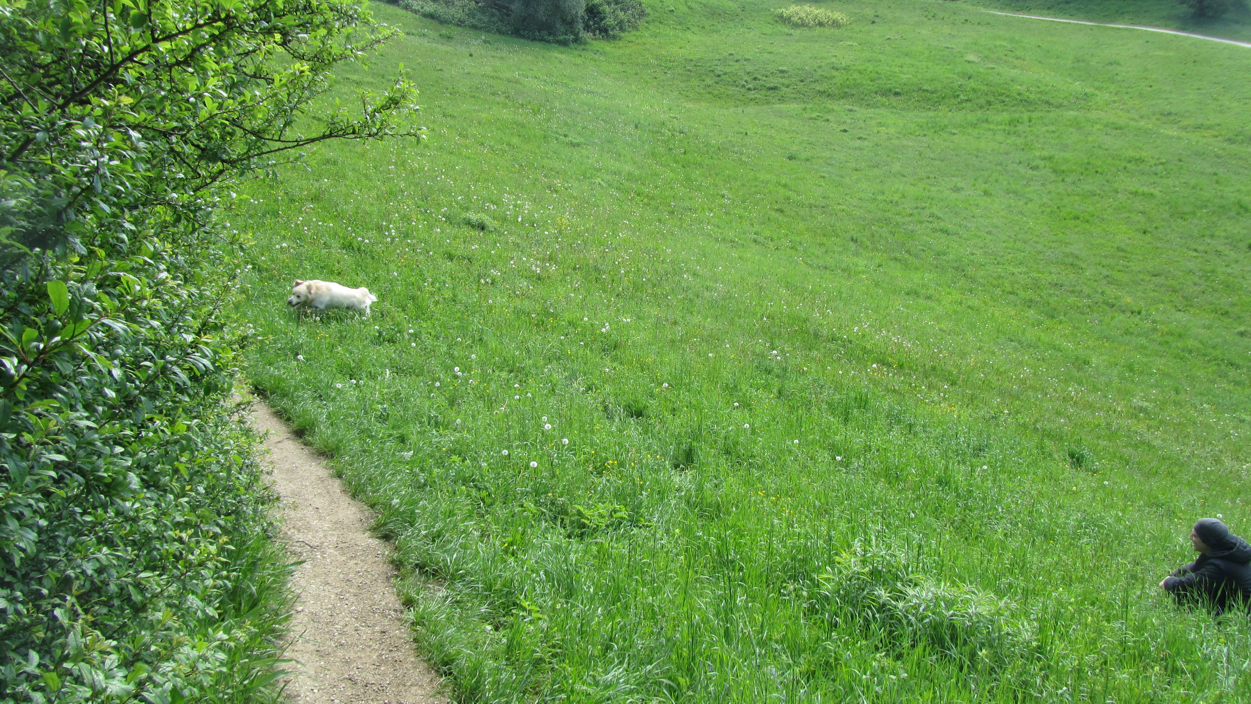 image-14