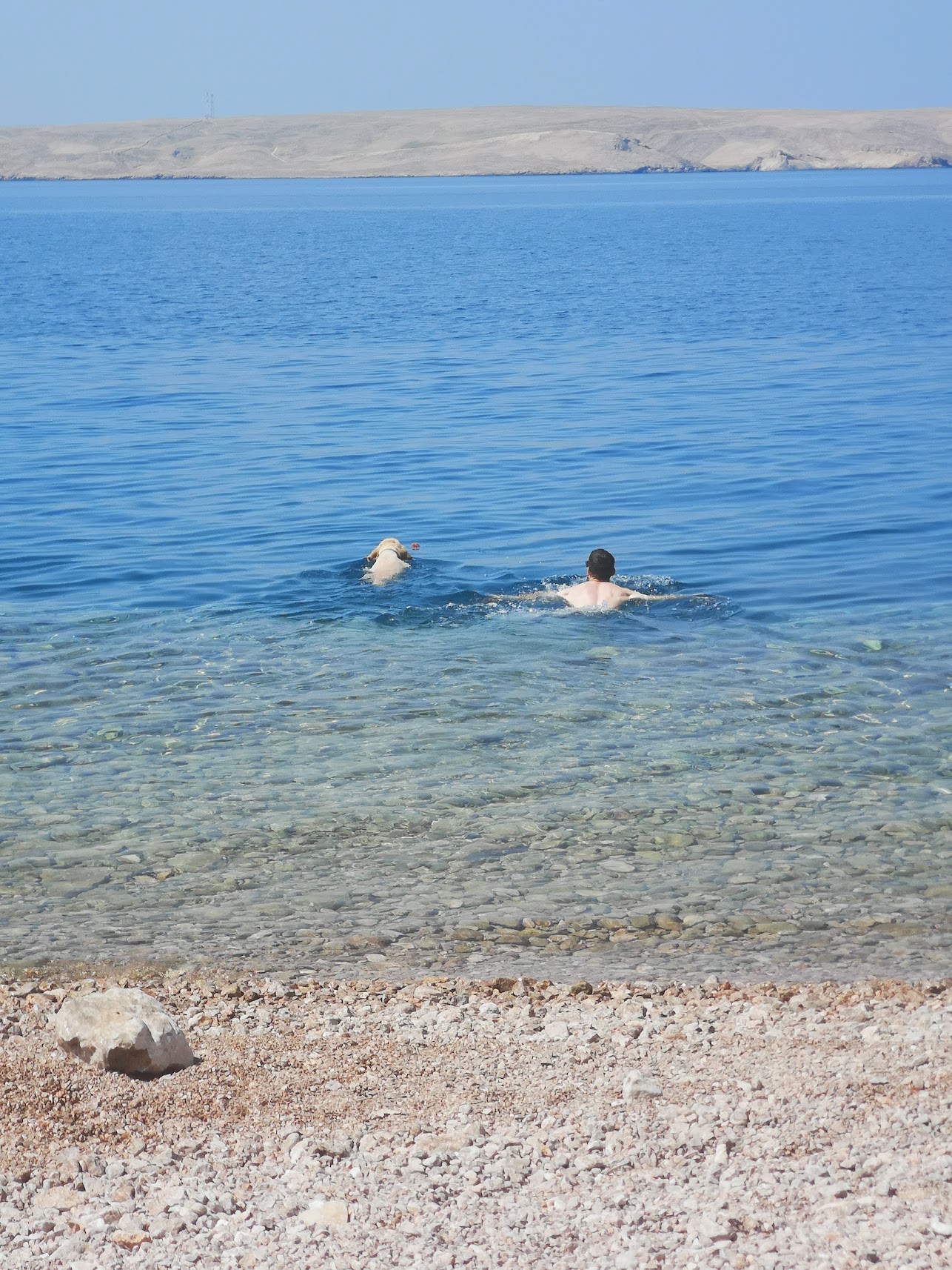 image-17