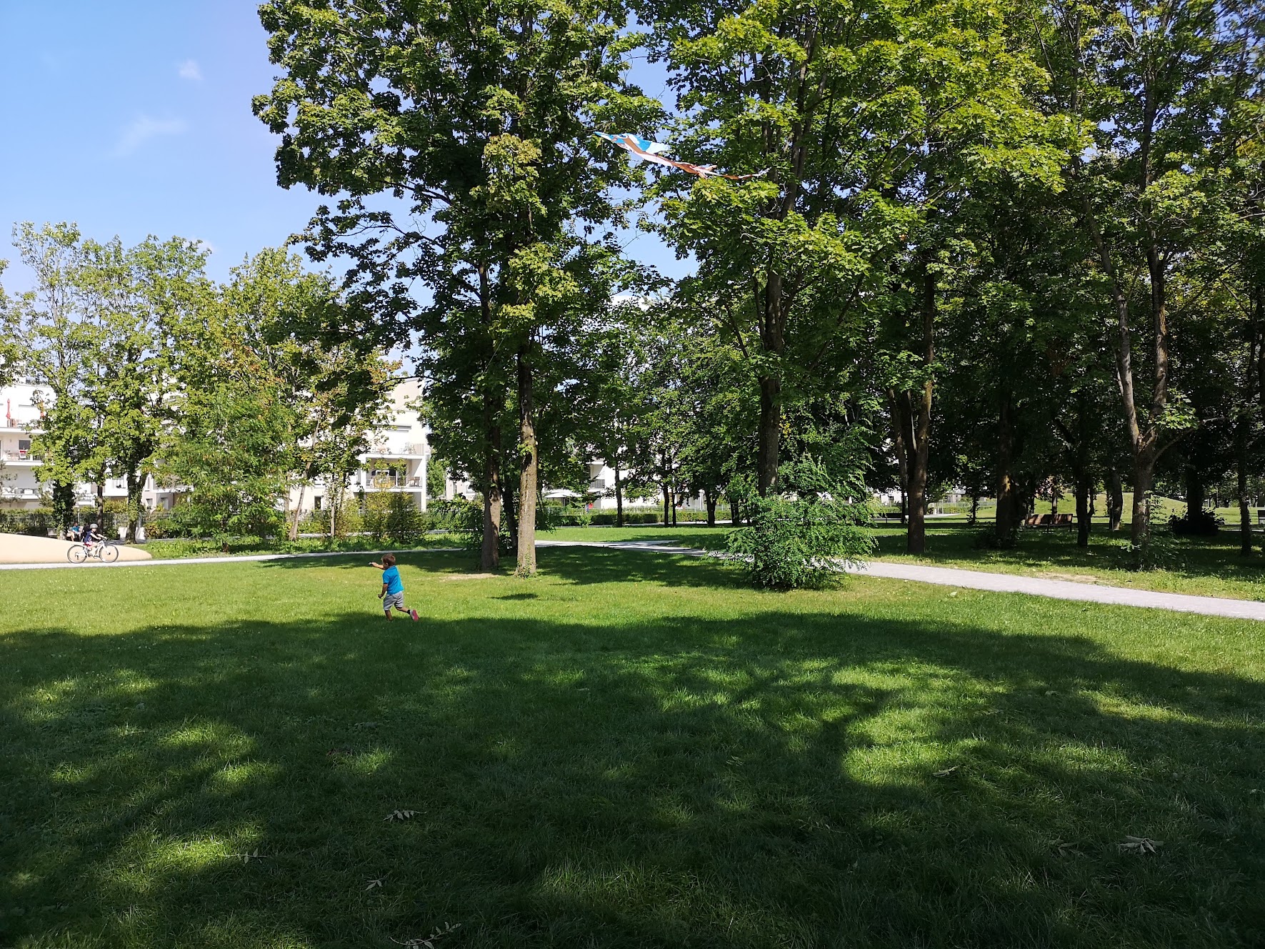 image-17