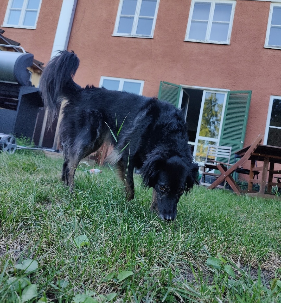 image-16