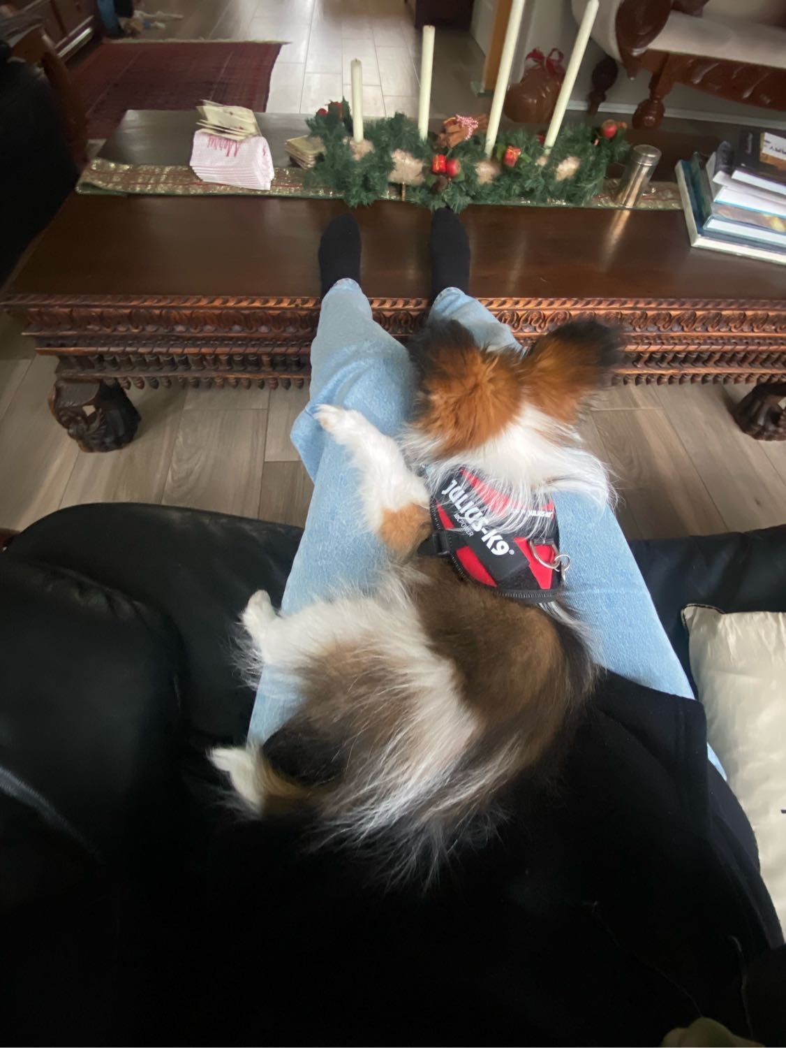 image-8